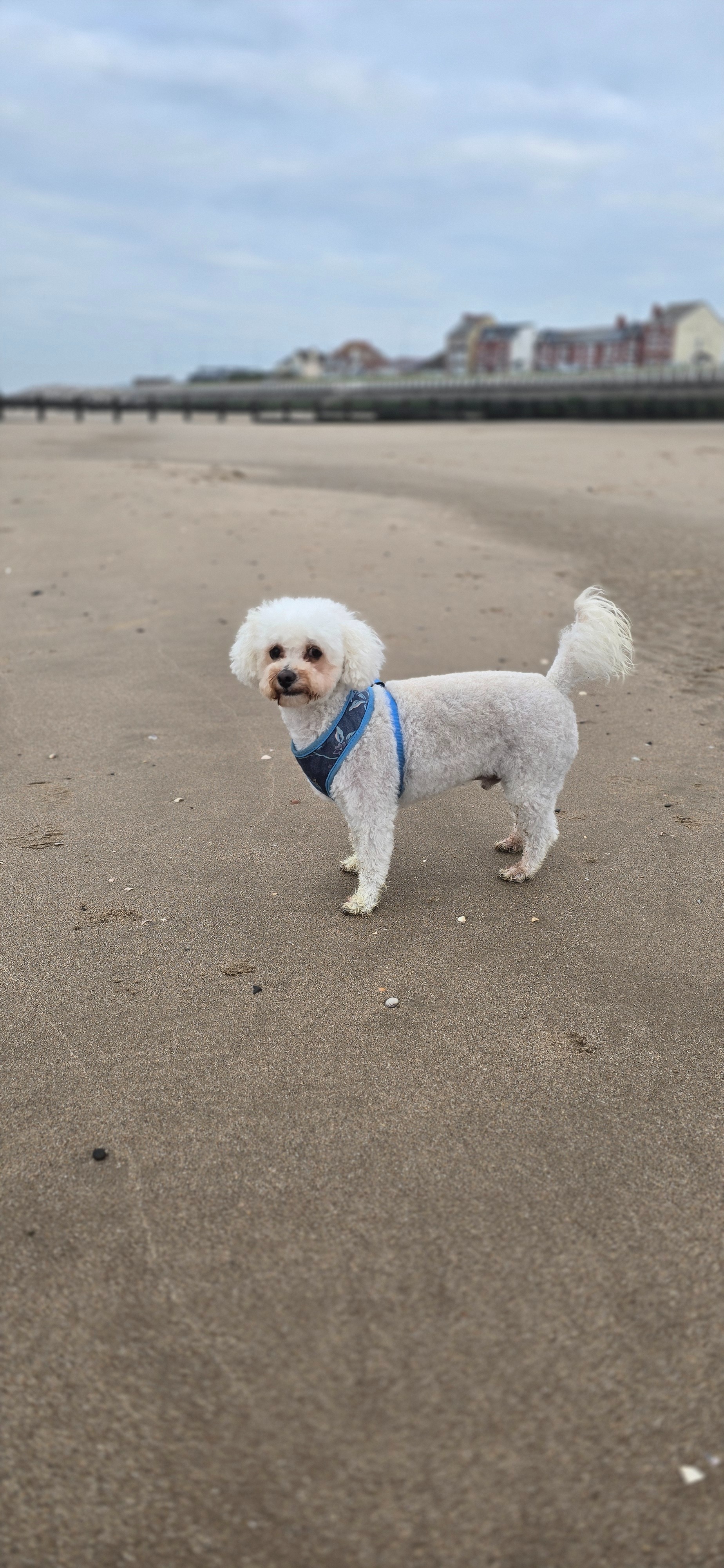 Spinal surgery for Bentley campaign photo, 2 of 8