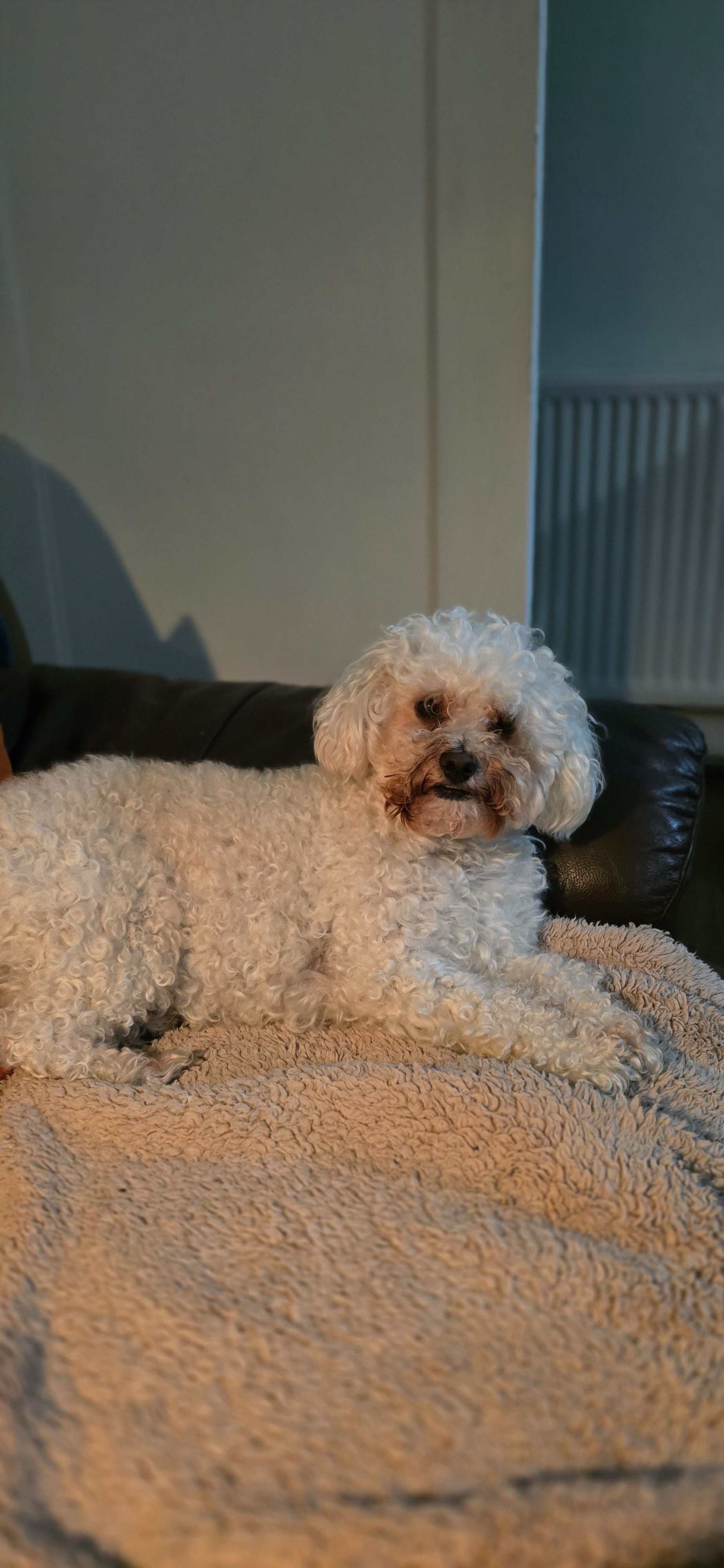 Spinal surgery for Bentley campaign photo, 4 of 8