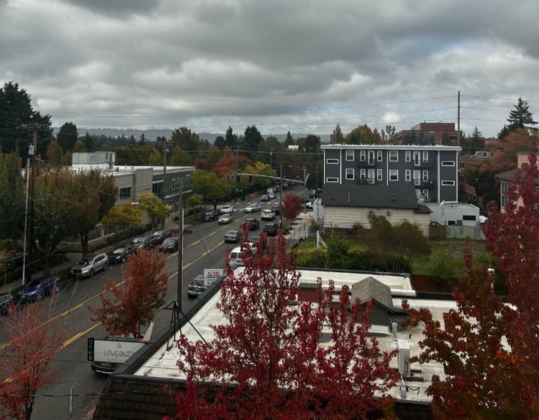 User-uploaded image 1