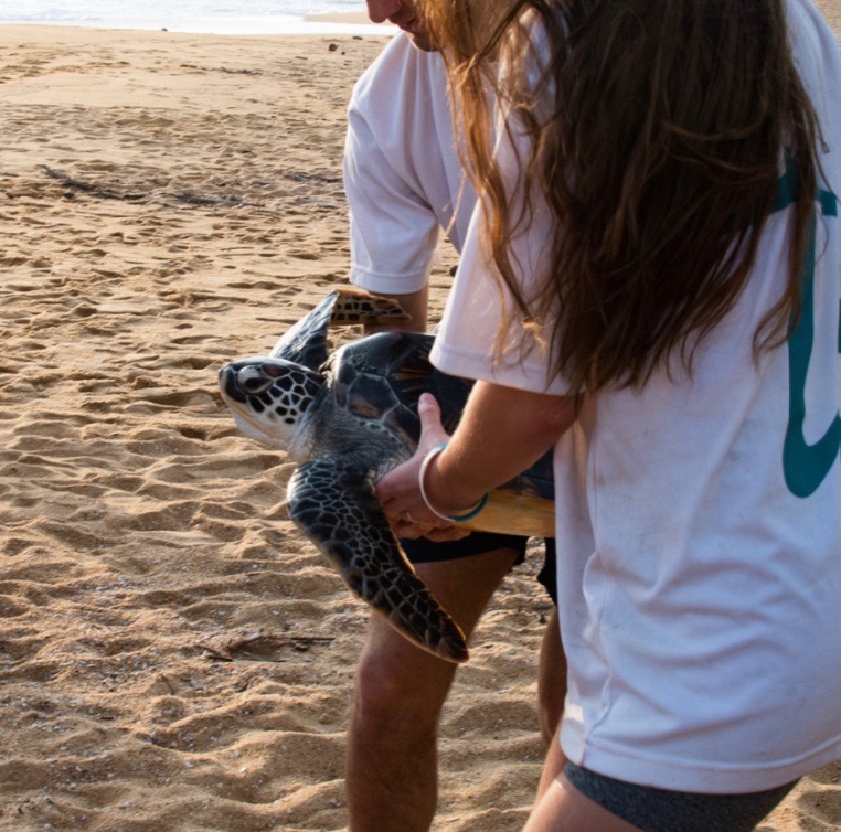Help Me Make A Difference in Sri Lanka campaign photo, 4 of 8