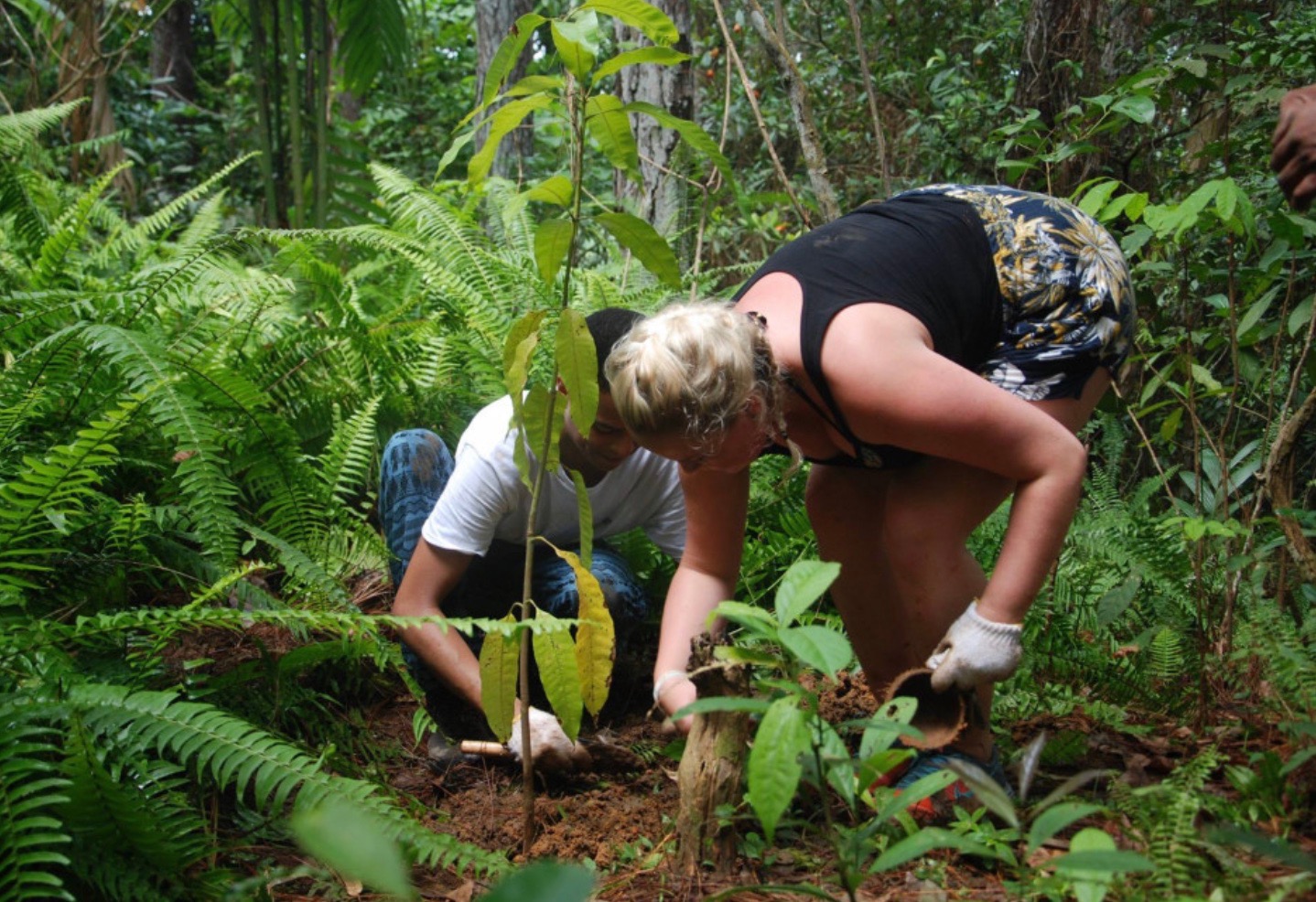 Help Me Make A Difference in Sri Lanka campaign photo, 5 of 8