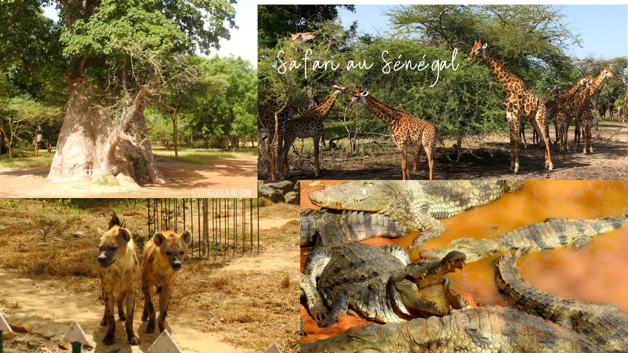 Oasis Centre Kid's Big Day Out Safari campaign photo, 5 of 8