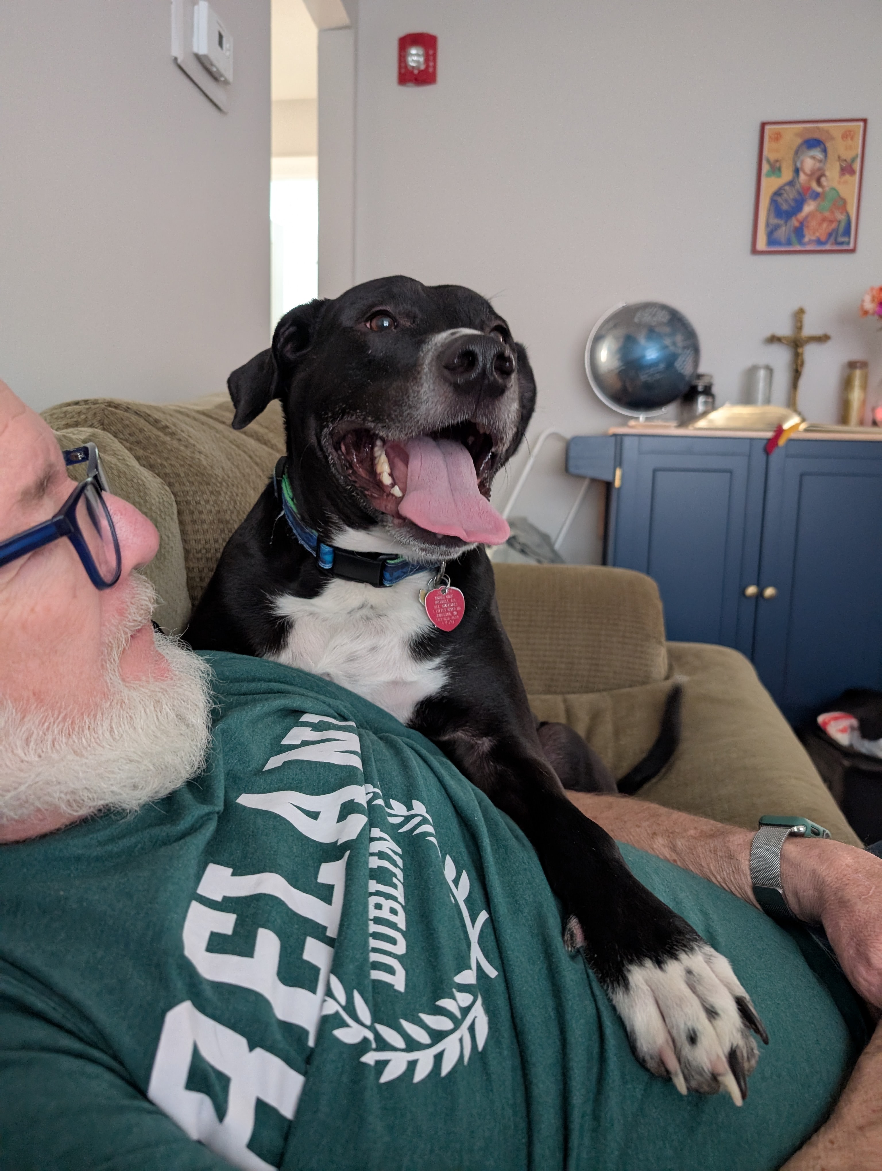 Help Bud Bud Walk Again: Urgent Surgery Needed campaign photo, 6 of 7