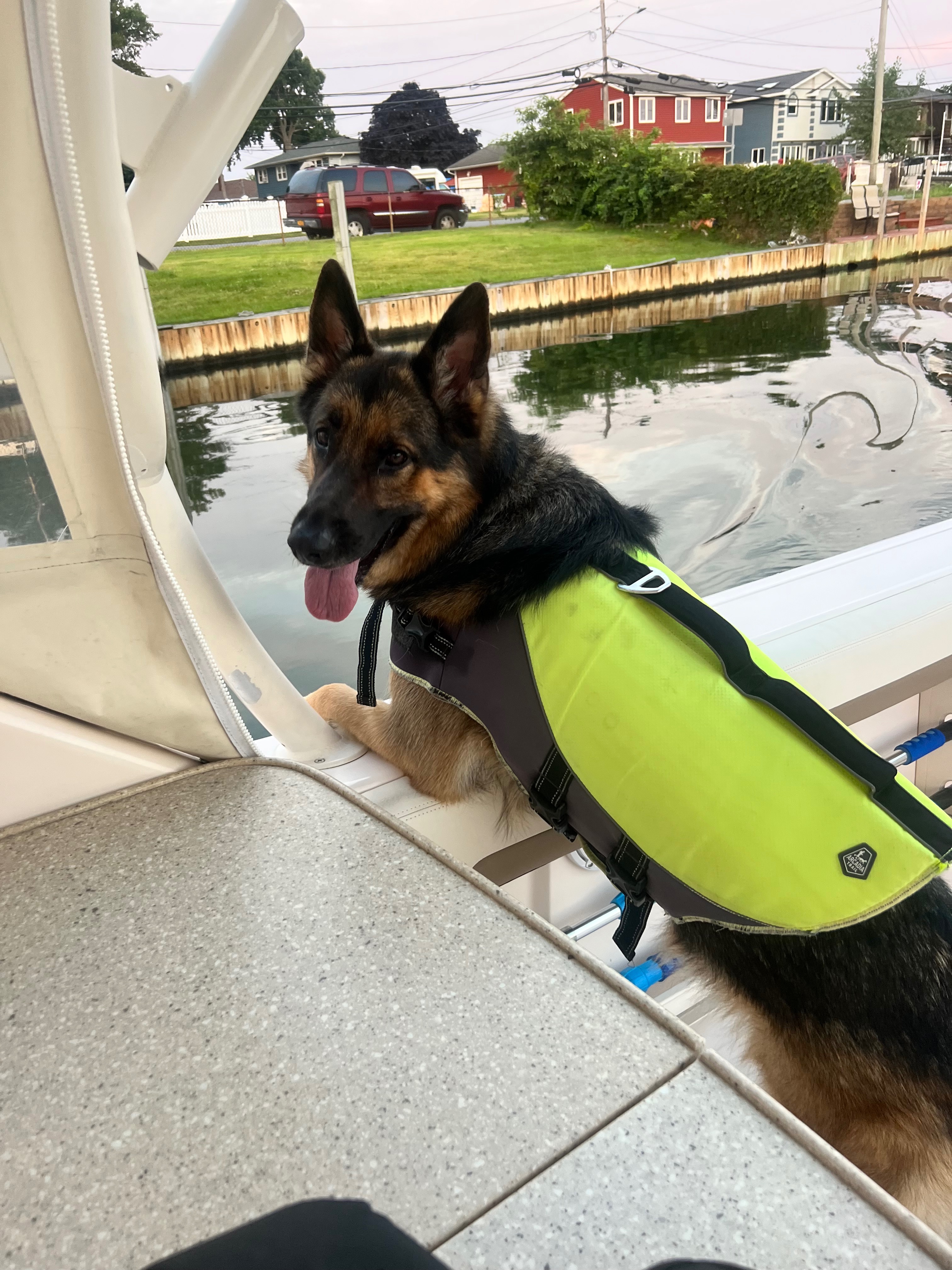Please Help Micky Recover From Hip Surgery Complications campaign photo, 5 of 7