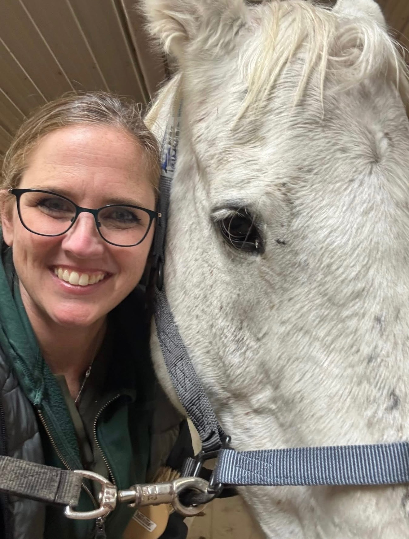 Help Sarah Save Diggs: Urgent Surgery Needed campaign photo, 4 of 5