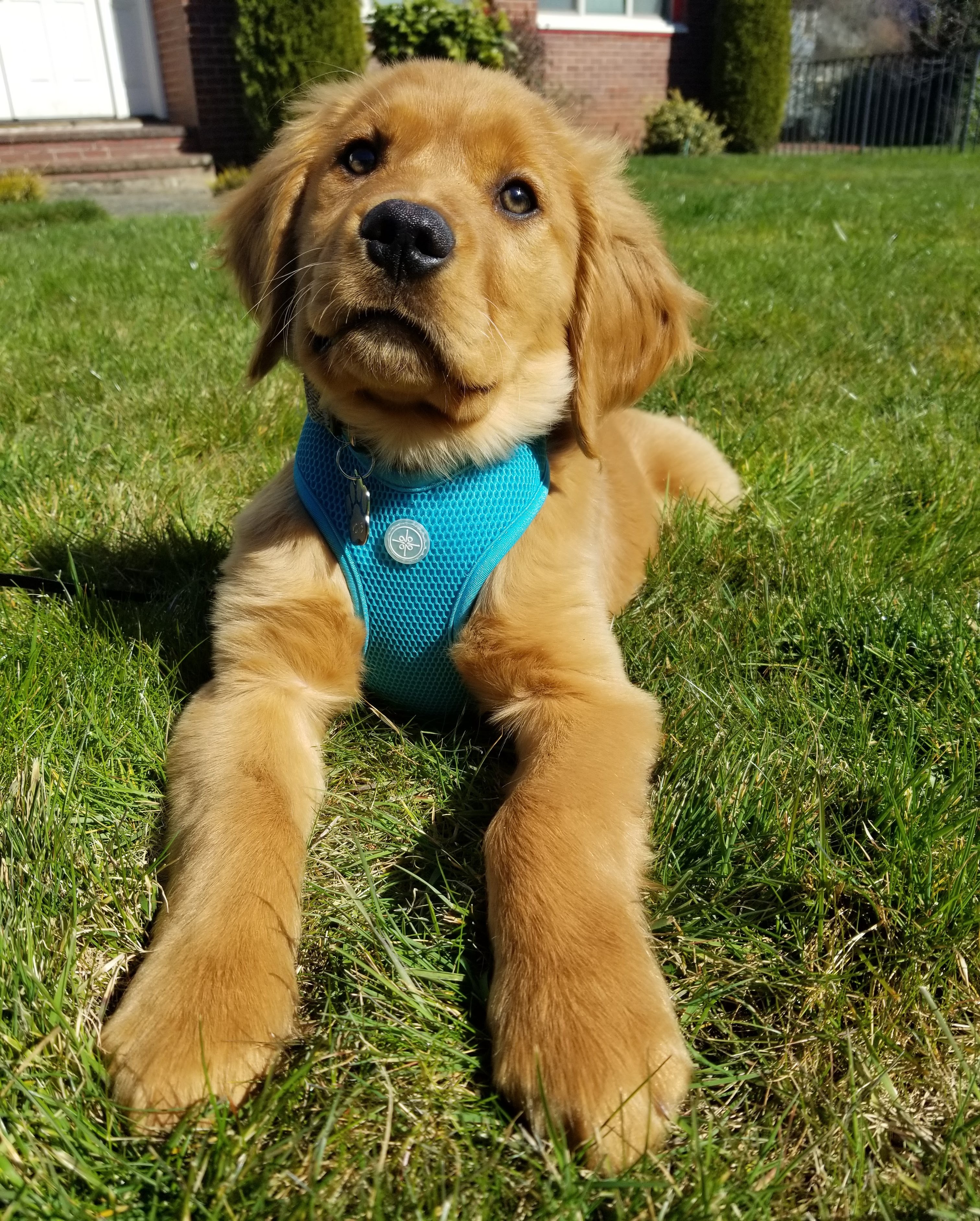 Donate to Keep Moab's Sunshine Alive campaign photo, 2 of 8