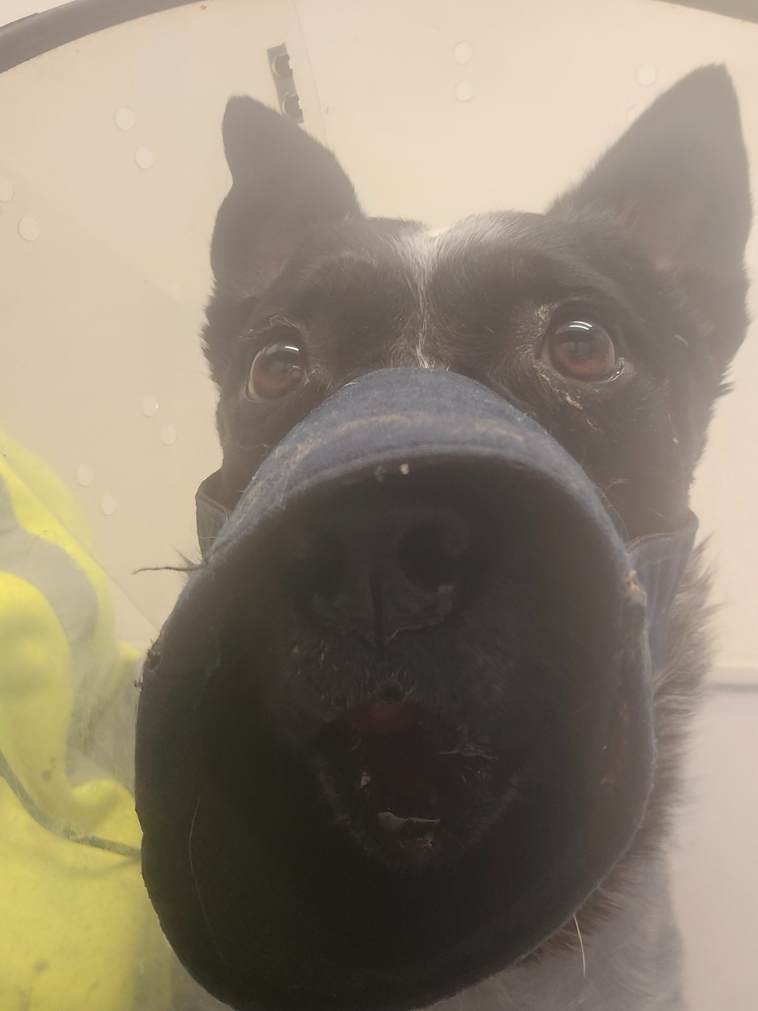 Support Ninja's Jaw Reconstruction campaign photo, 2 of 8