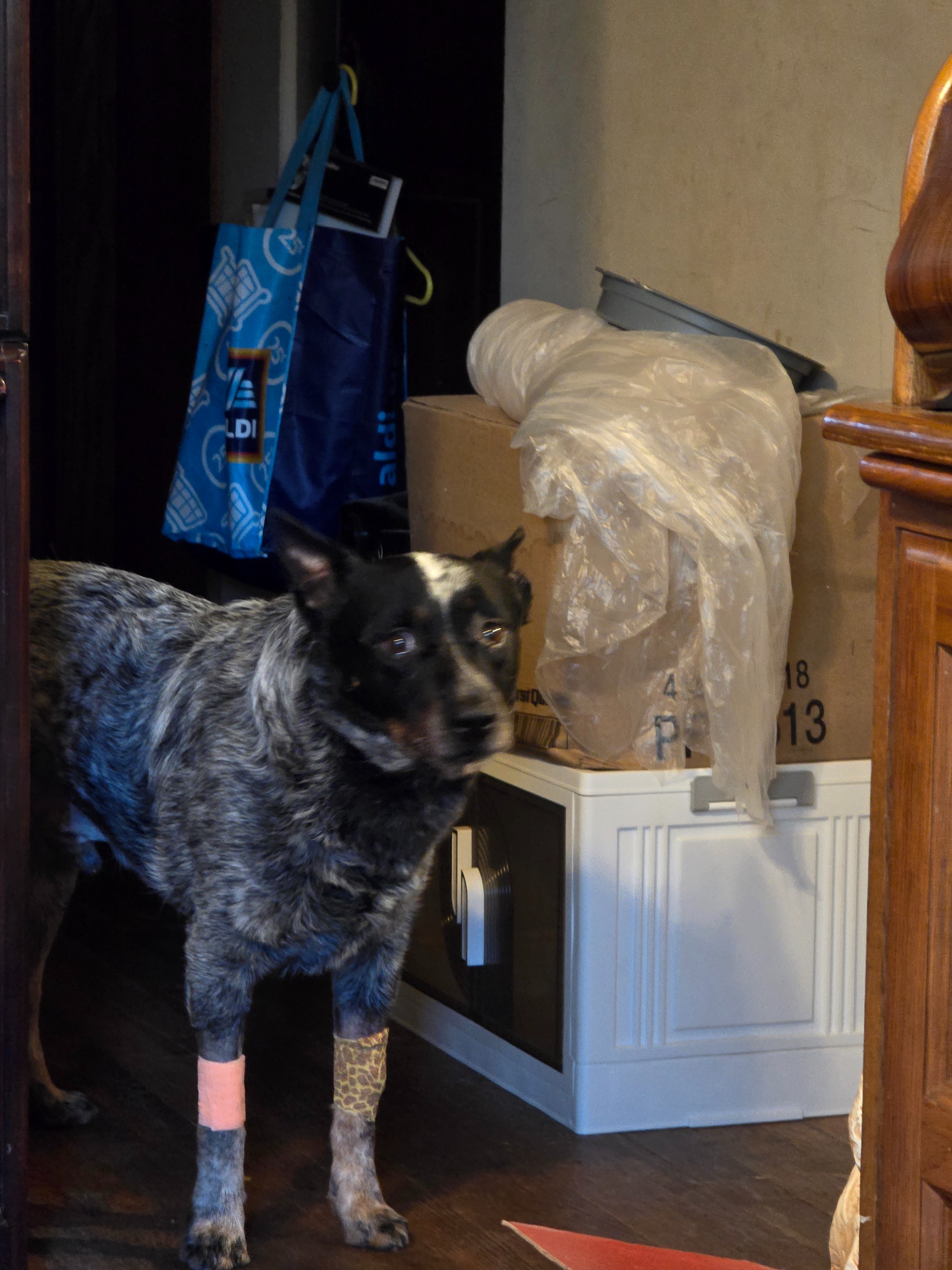 Support Ninja's Jaw Reconstruction campaign photo, 4 of 8