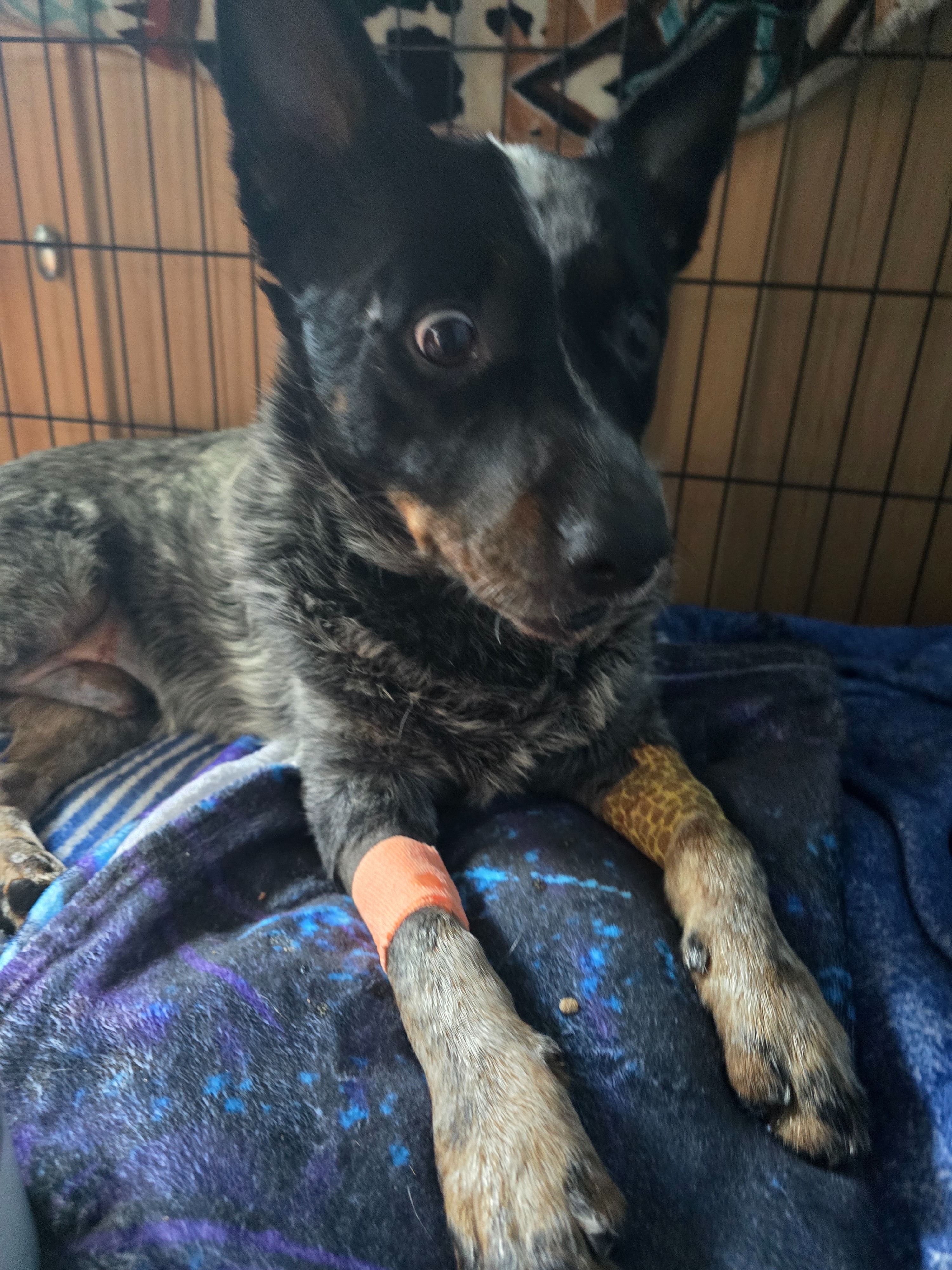 Support Ninja's Jaw Reconstruction campaign photo, 6 of 8