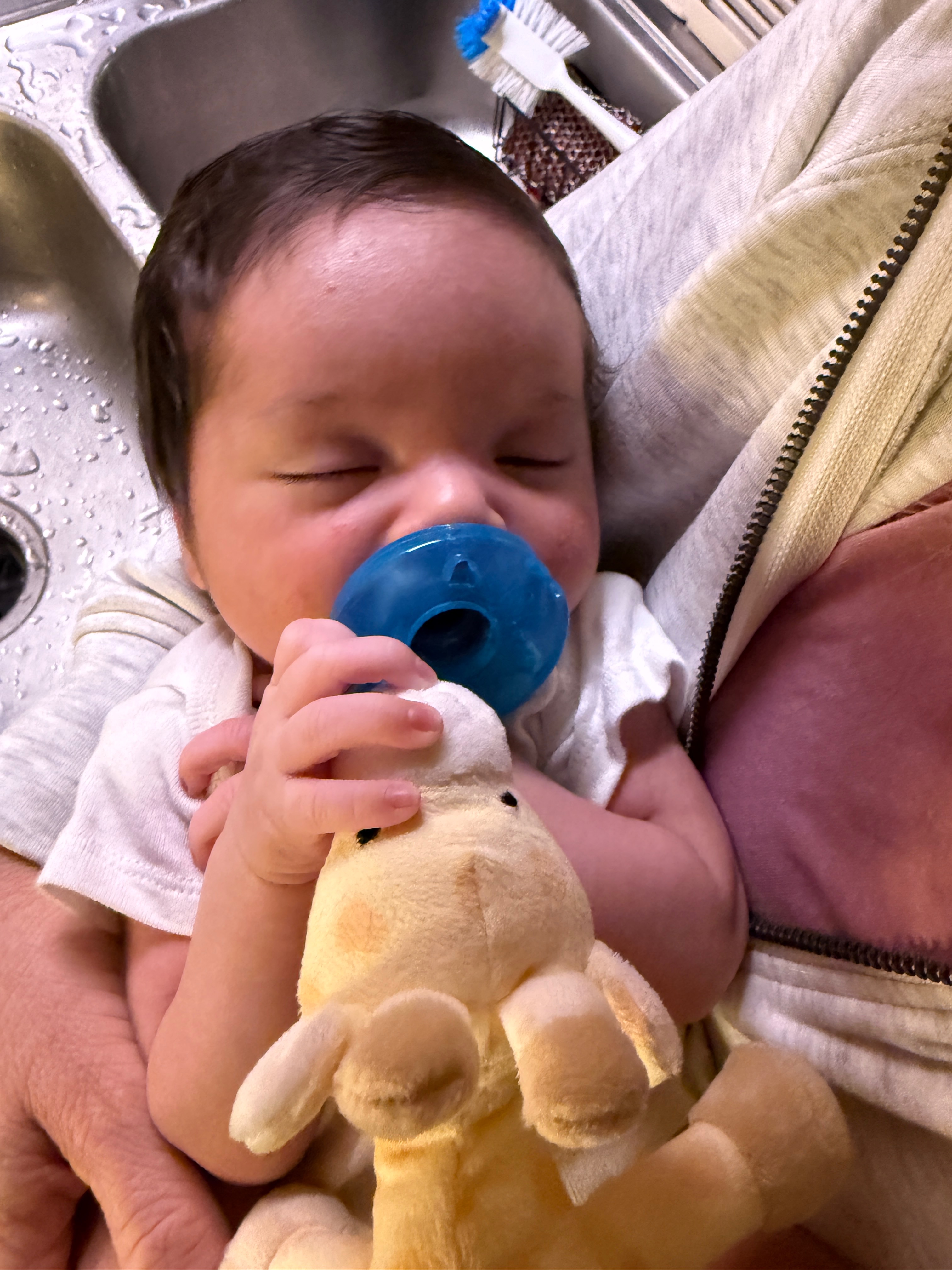 Join Us in Funding Tomie's Adoption Journey campaign photo, 4 of 8