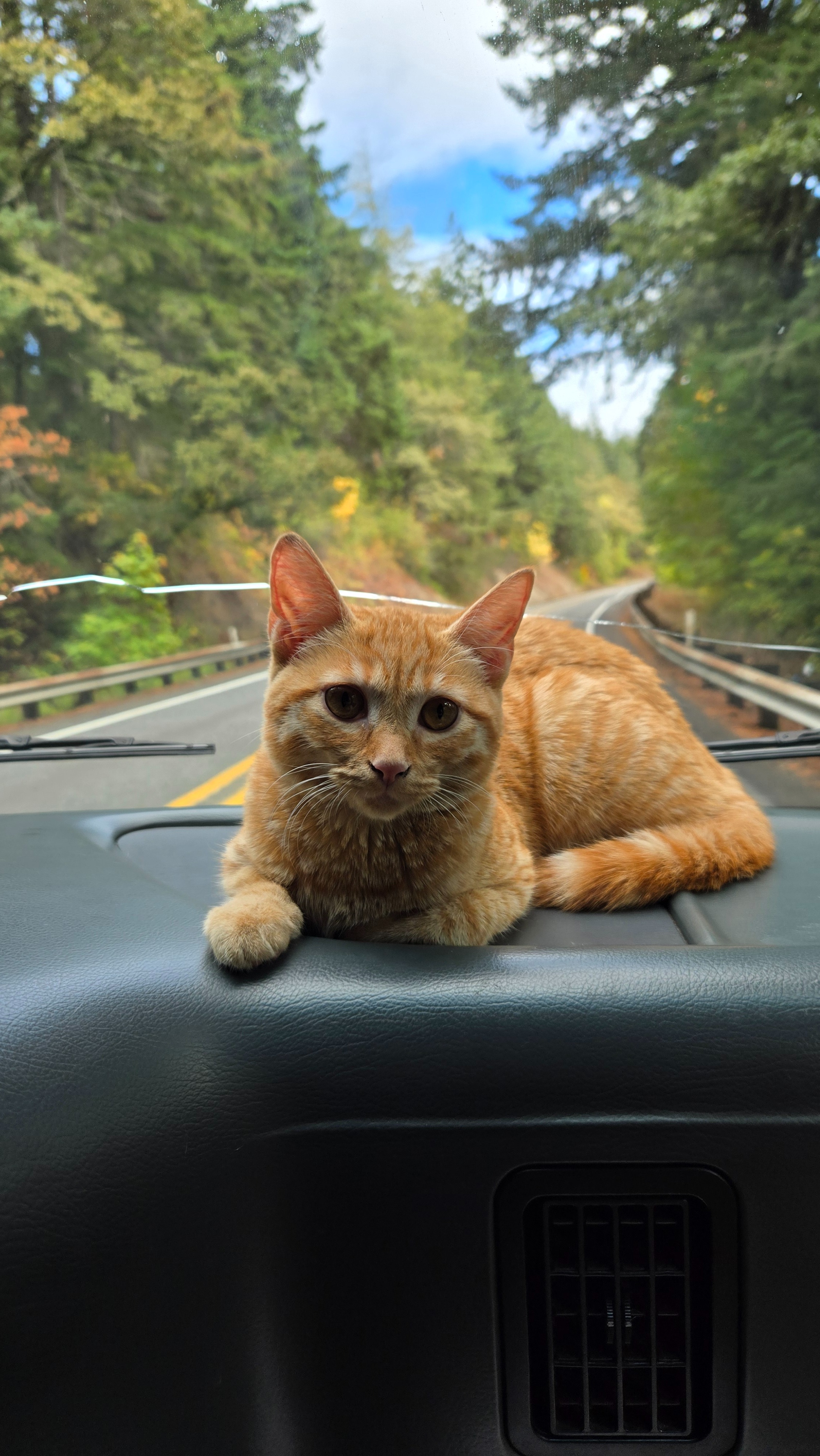 Urgent Help Needed to Keep a Home on Wheels campaign photo, 2 of 3