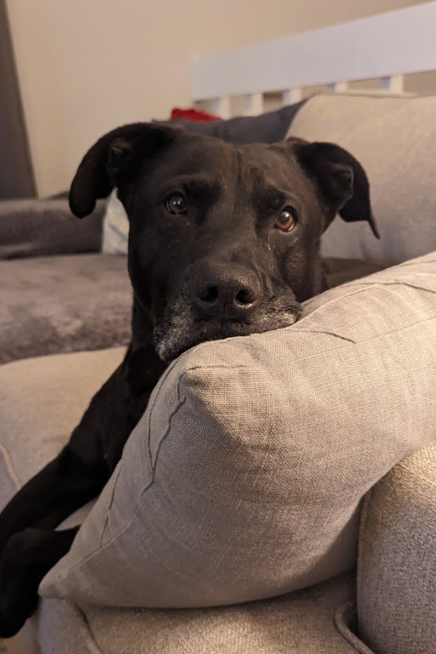 User-uploaded image 1