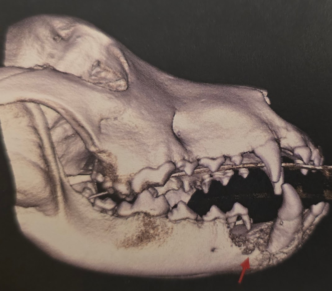 User-uploaded image 3