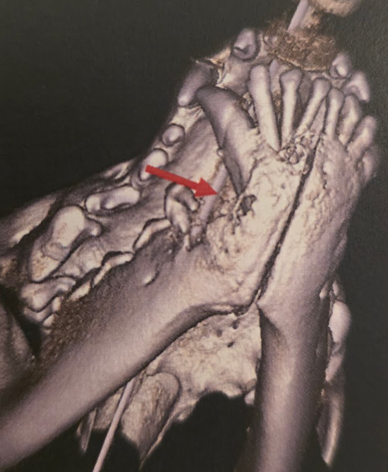 User-uploaded image 2