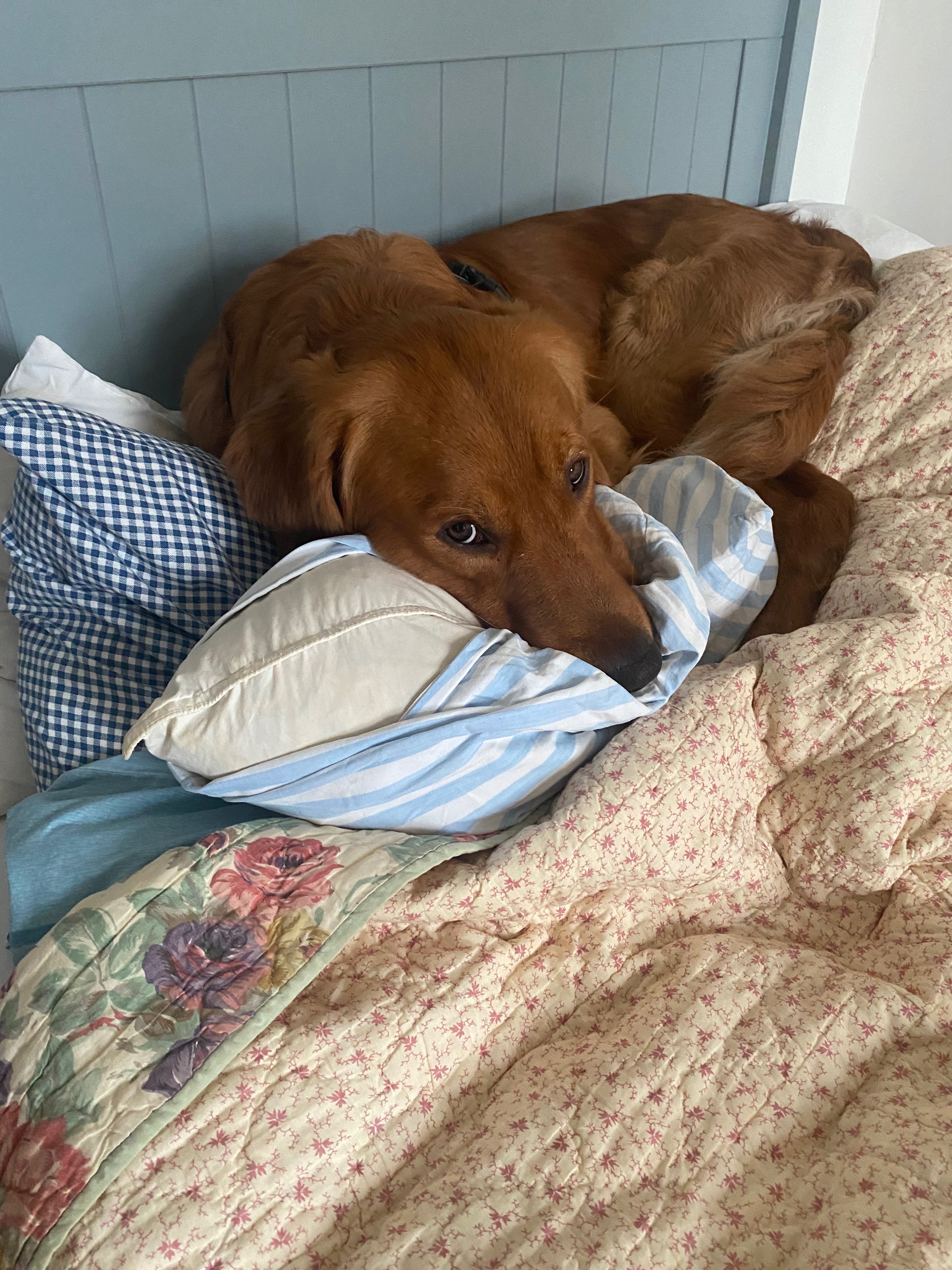 User-uploaded image 4