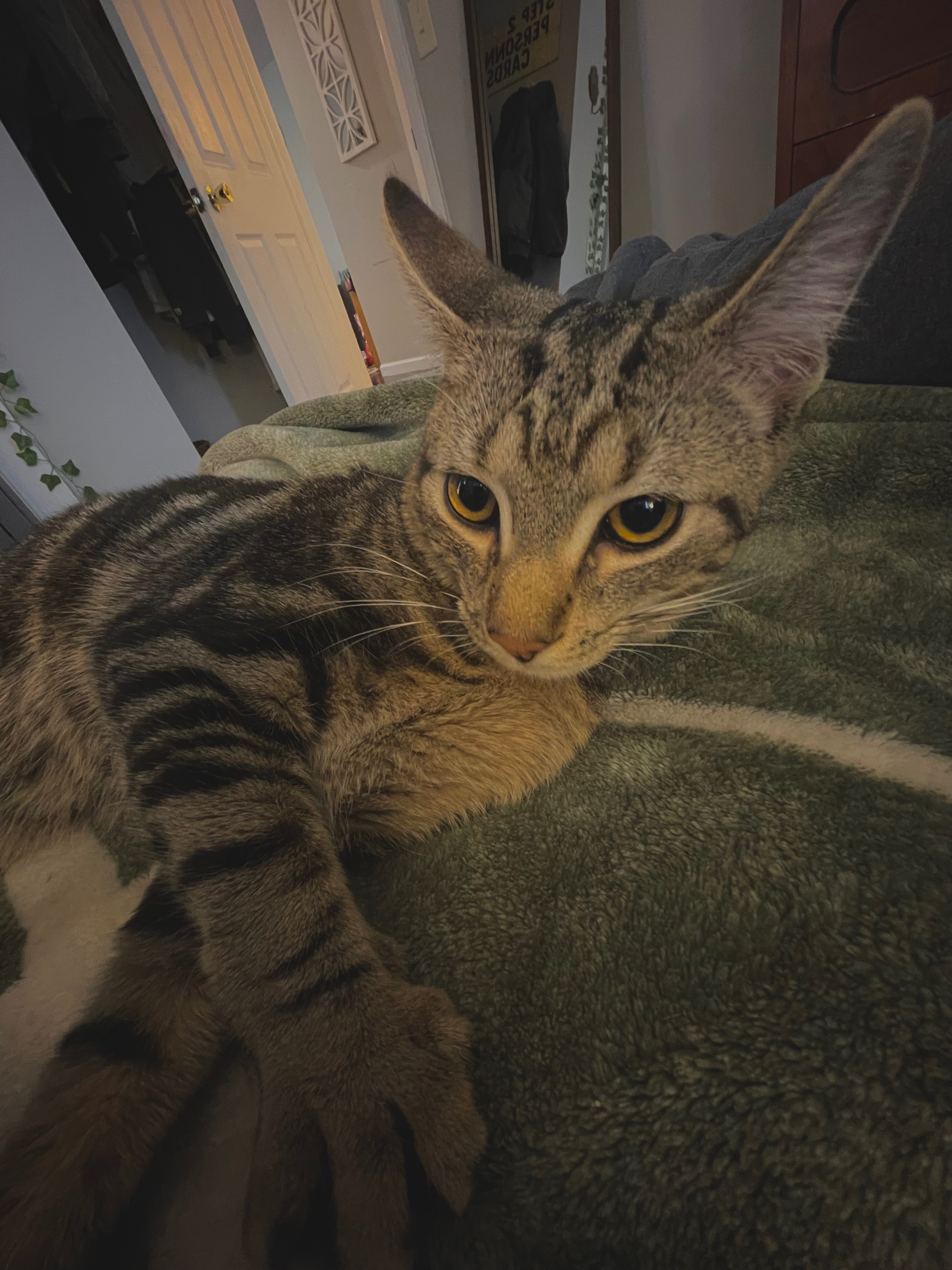 User-uploaded image 1