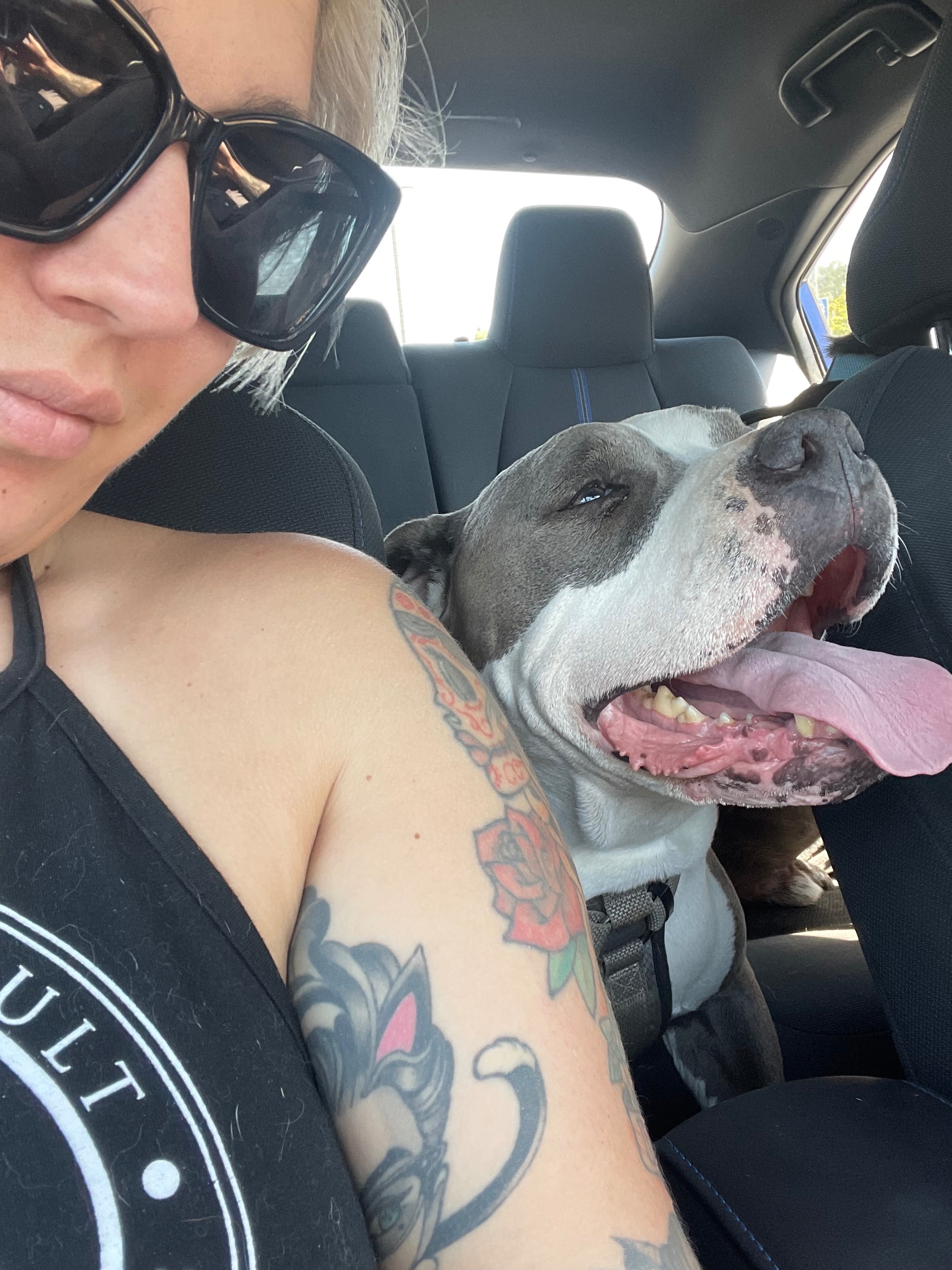 Urgent Surgery for Janay Bostic's Dog Tank campaign photo, 6 of 7