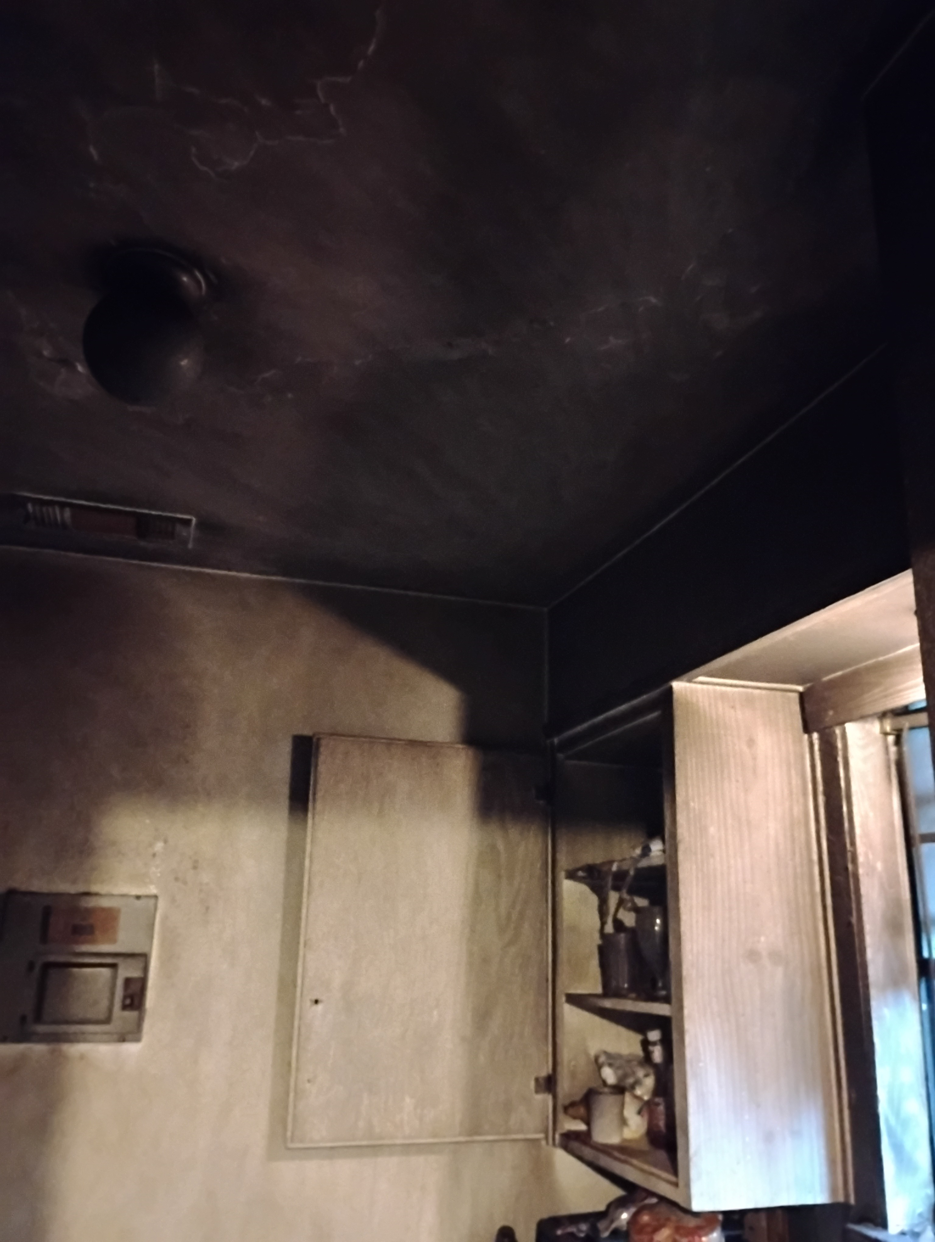 User-uploaded image 1