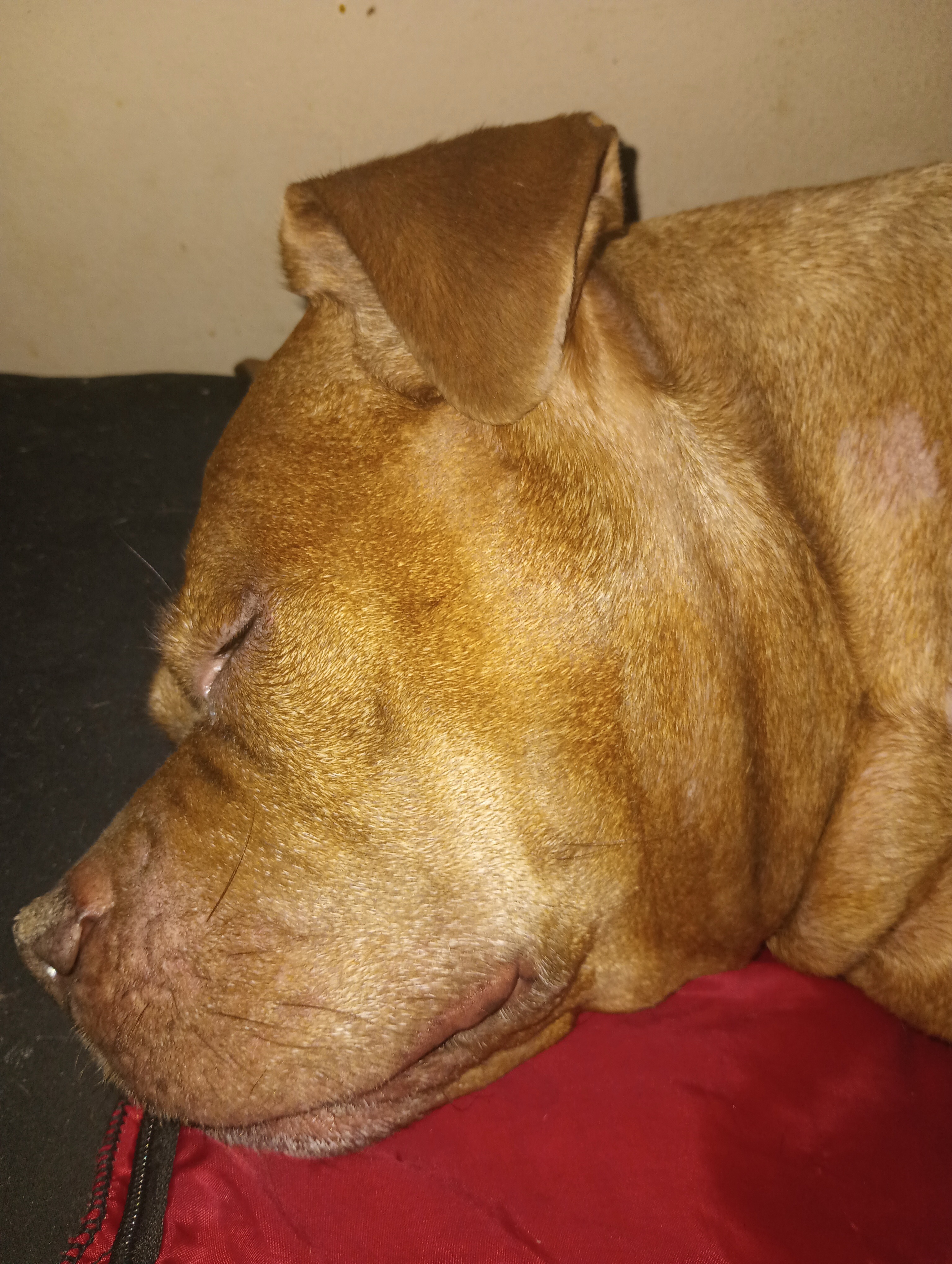 User-uploaded image 1