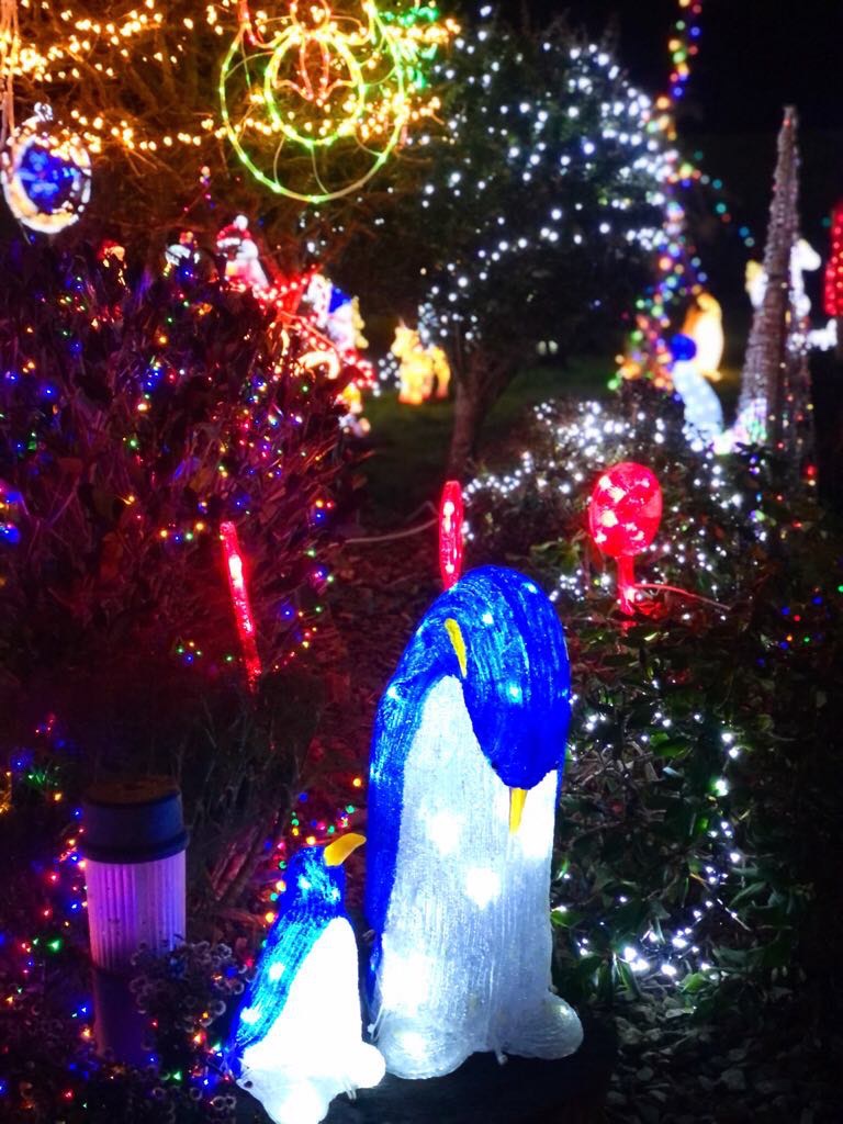 Purcell’s Christmas Charity Lights 2025 campaign photo, 4 of 7