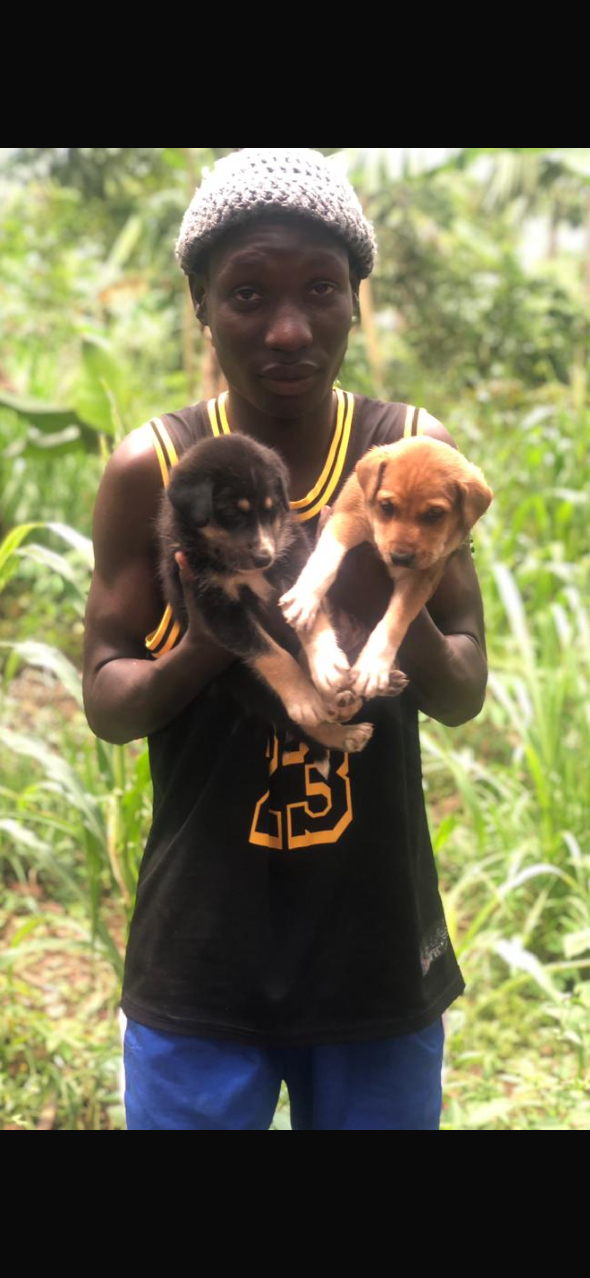 Support Godcareszdogrescue in Uganda campaign photo, 5 of 7