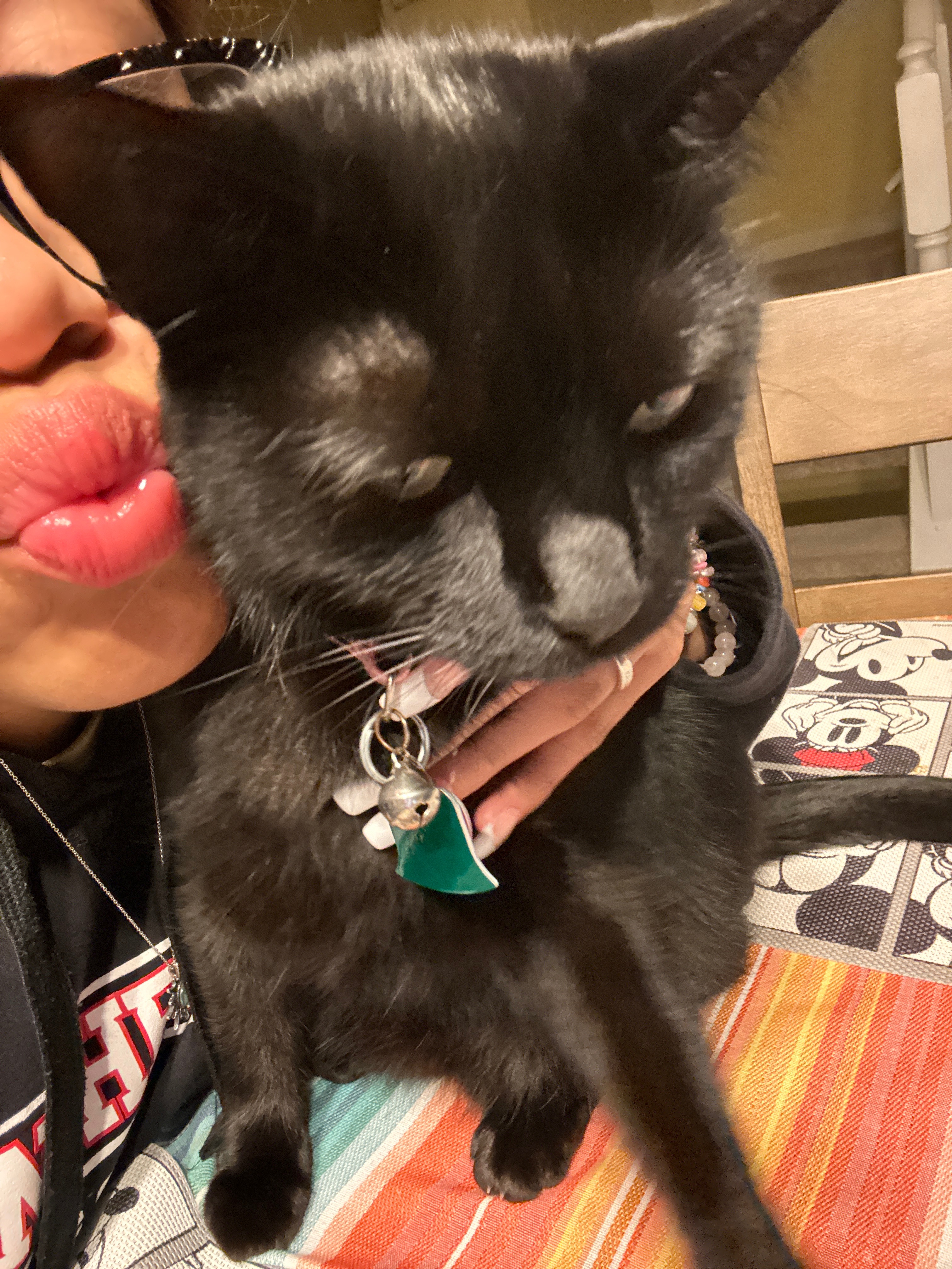 Help kiwi get surgery campaign photo, 5 of 8