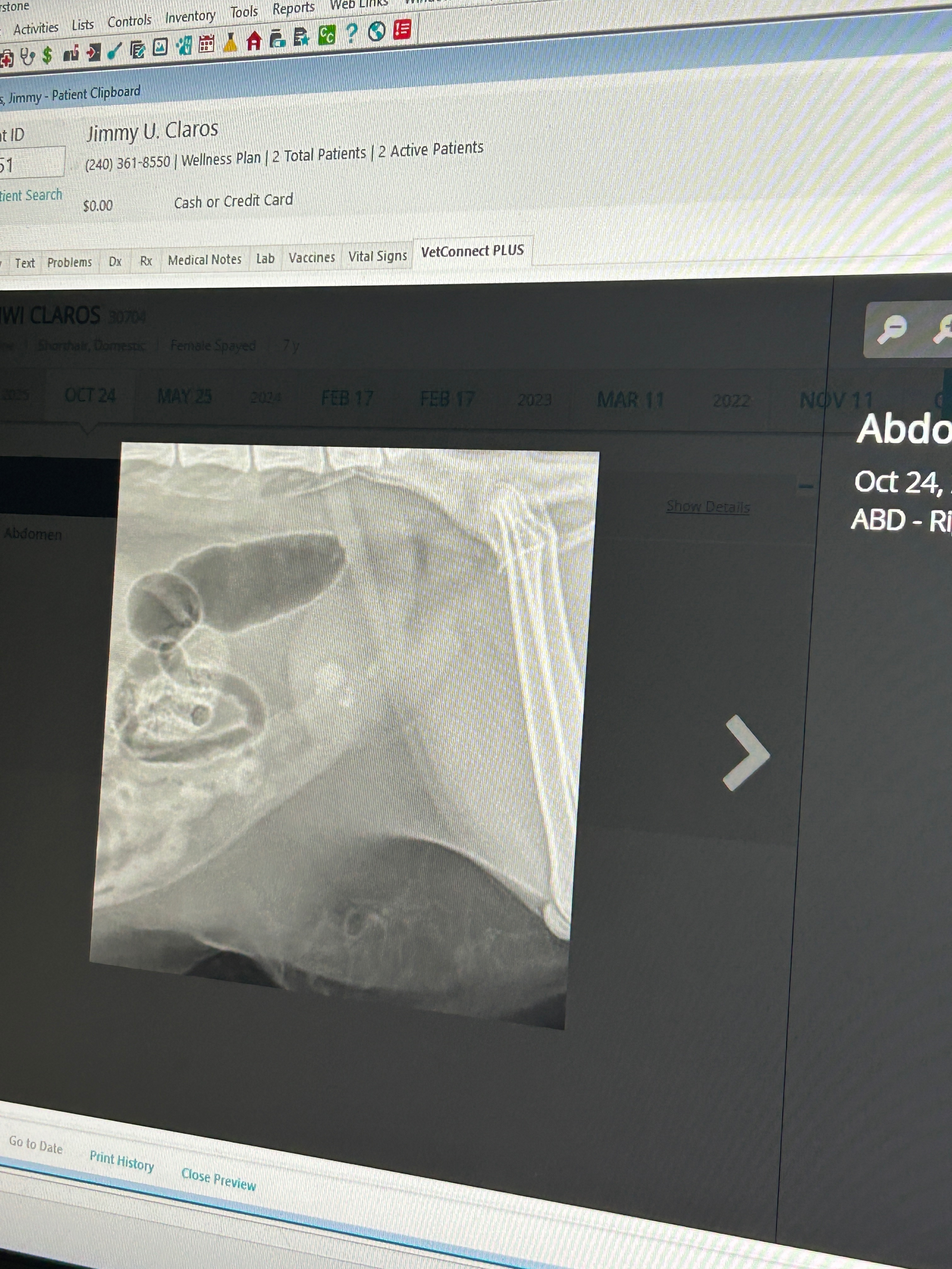 Help kiwi get surgery campaign photo, 6 of 8