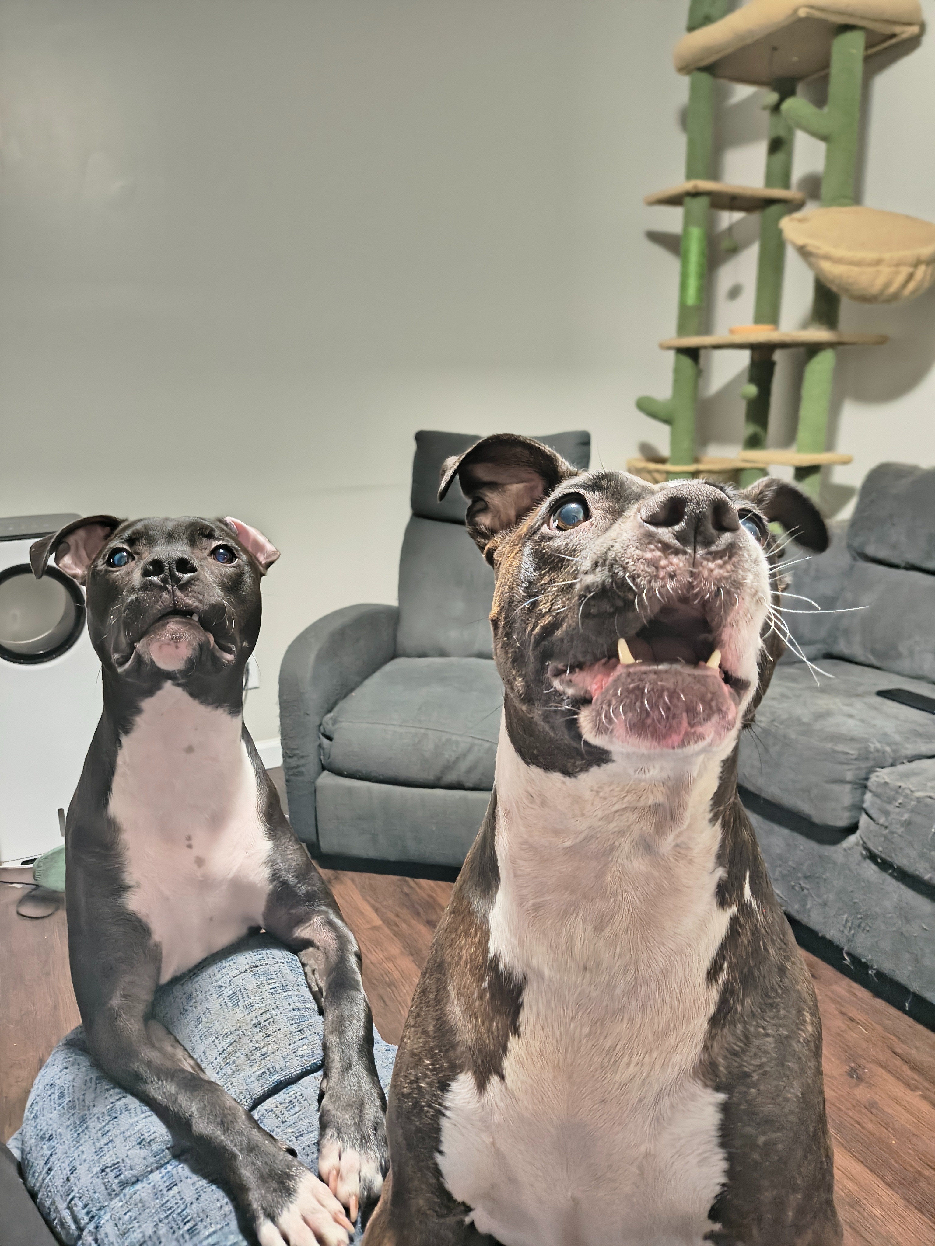 User-uploaded image 1