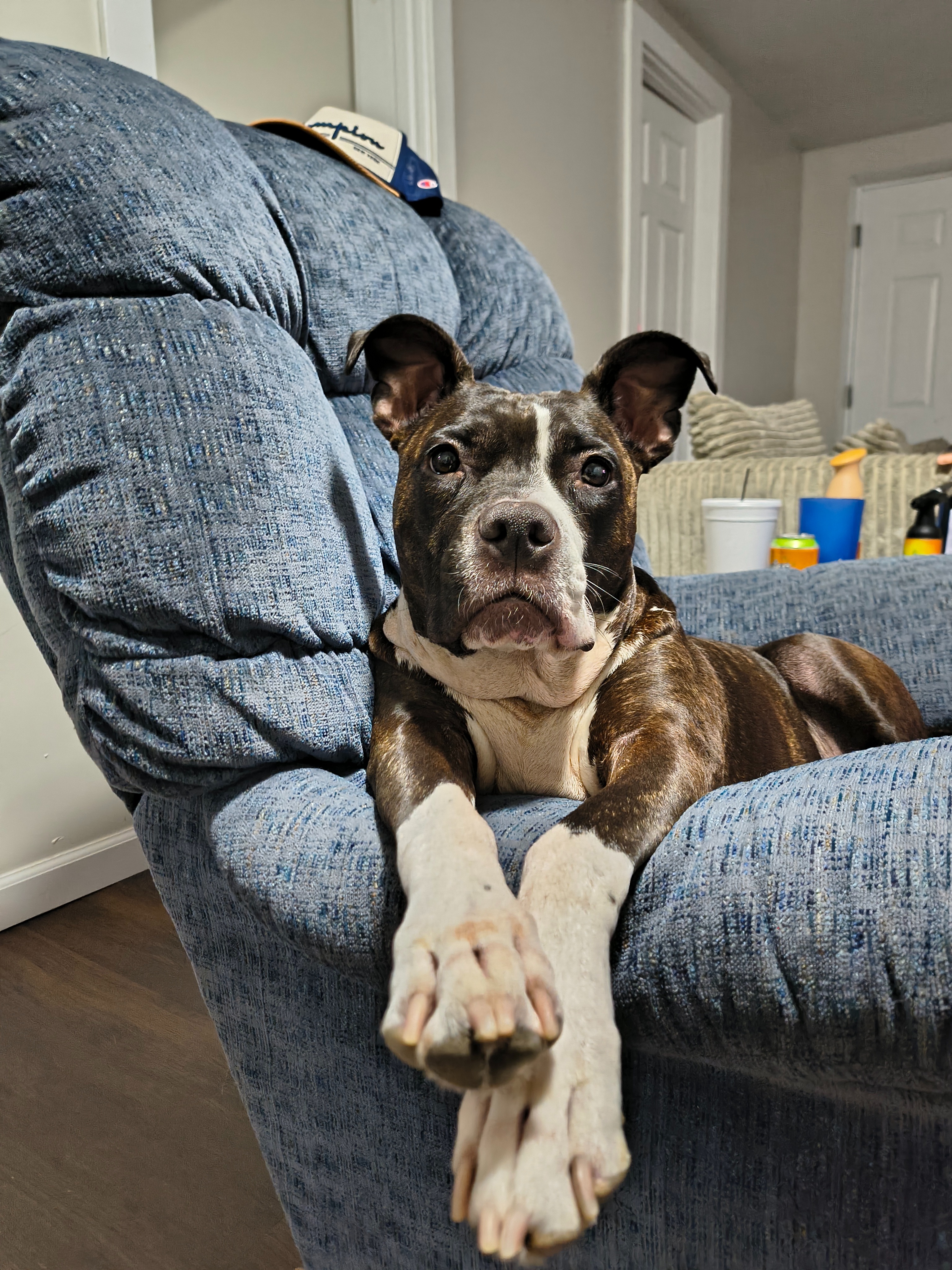 User-uploaded image 3