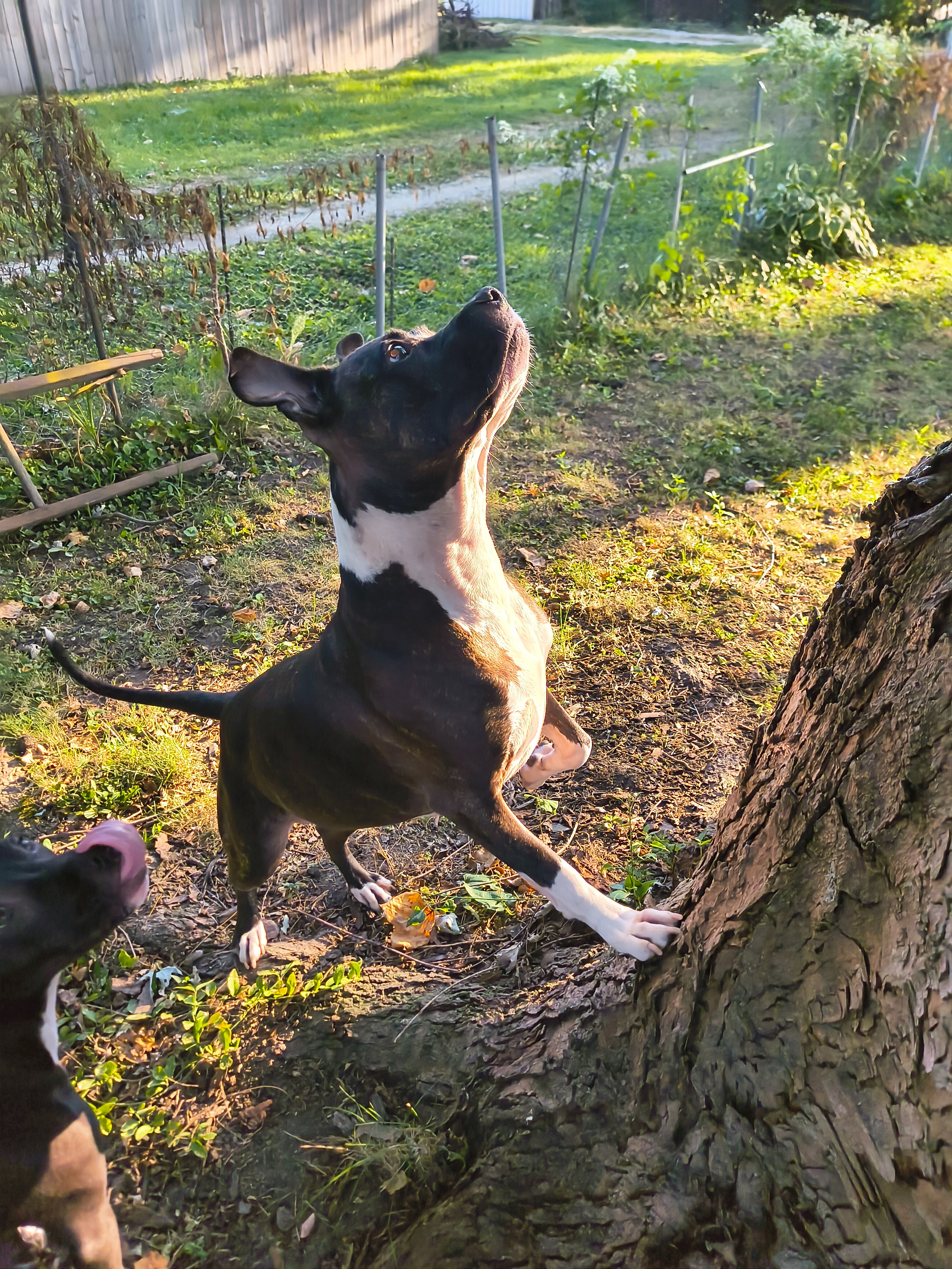 User-uploaded image 4