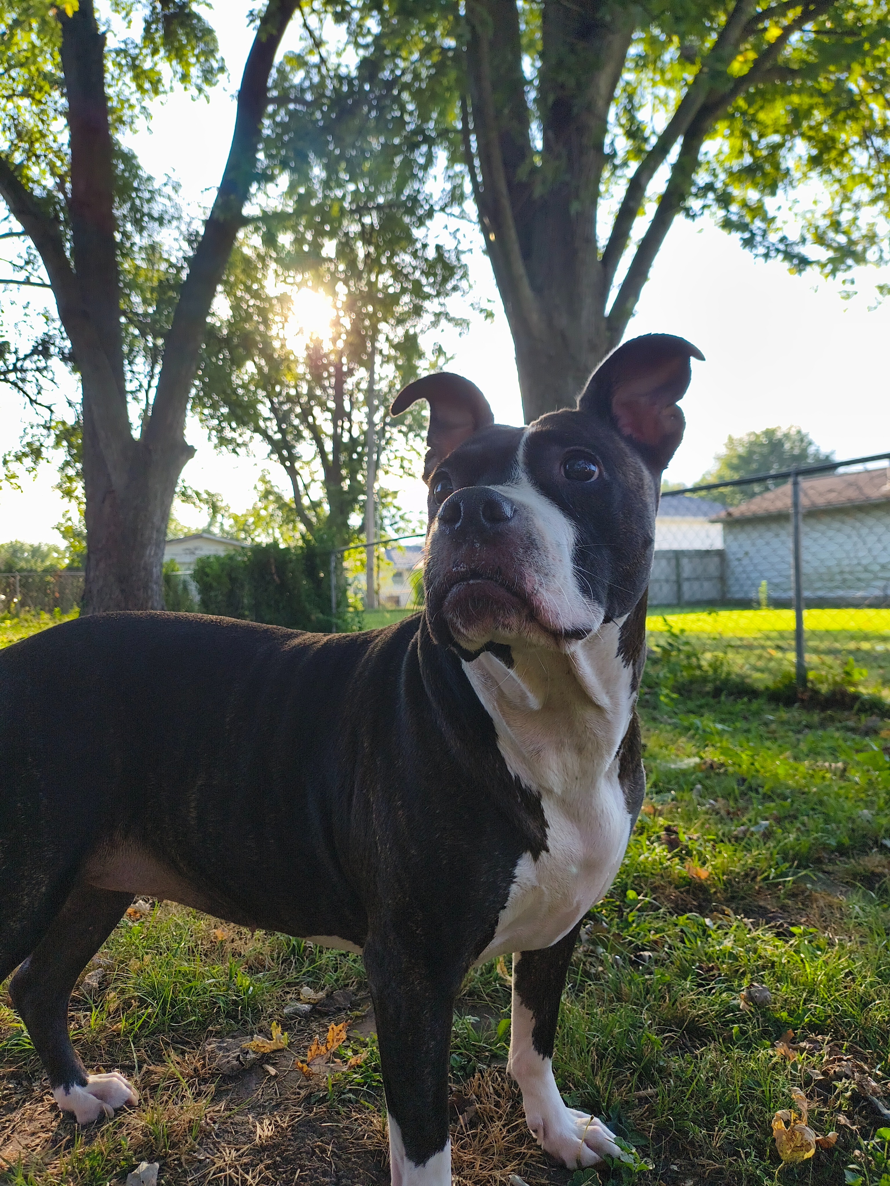 User-uploaded image 2