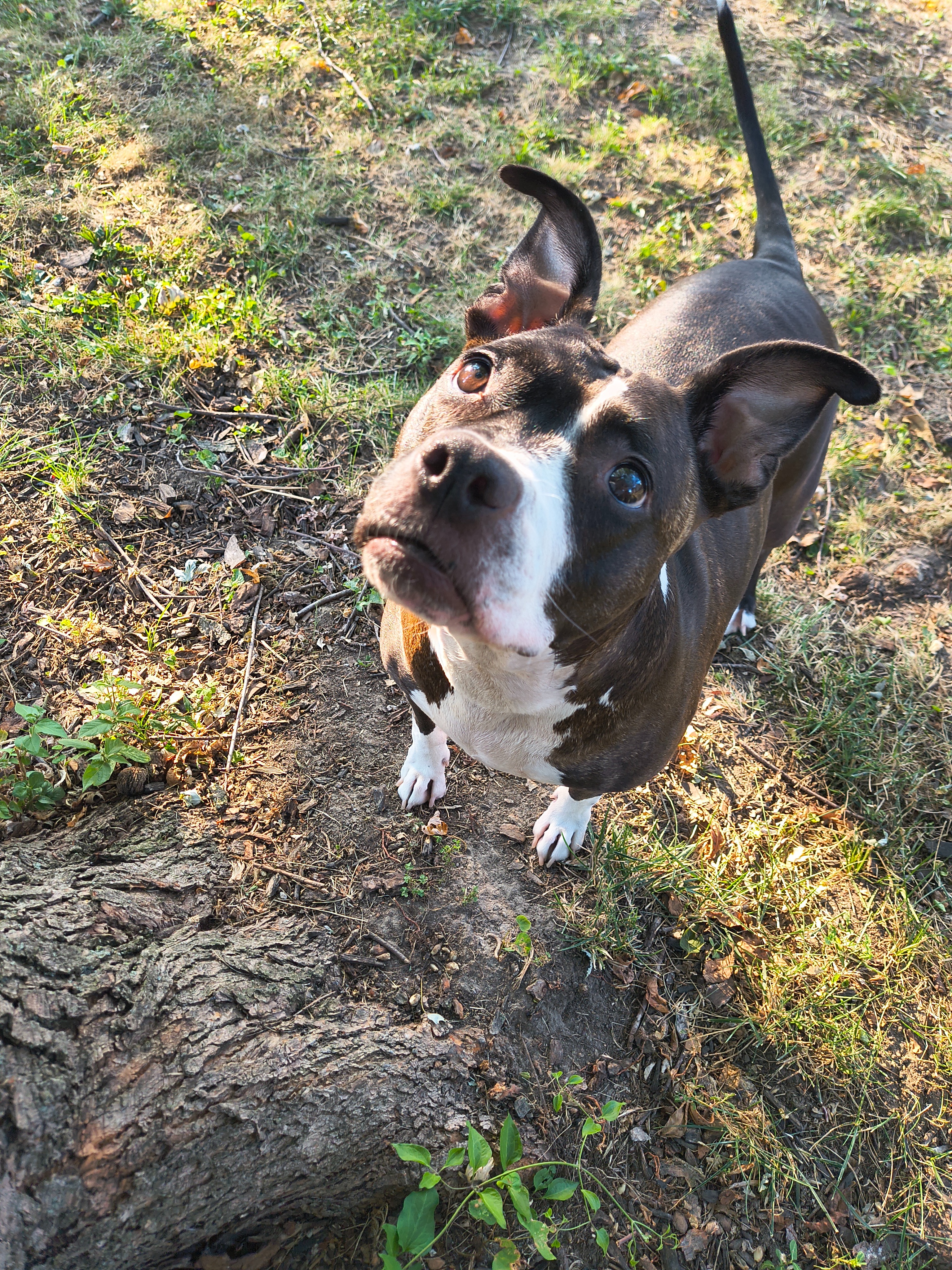 User-uploaded image 5