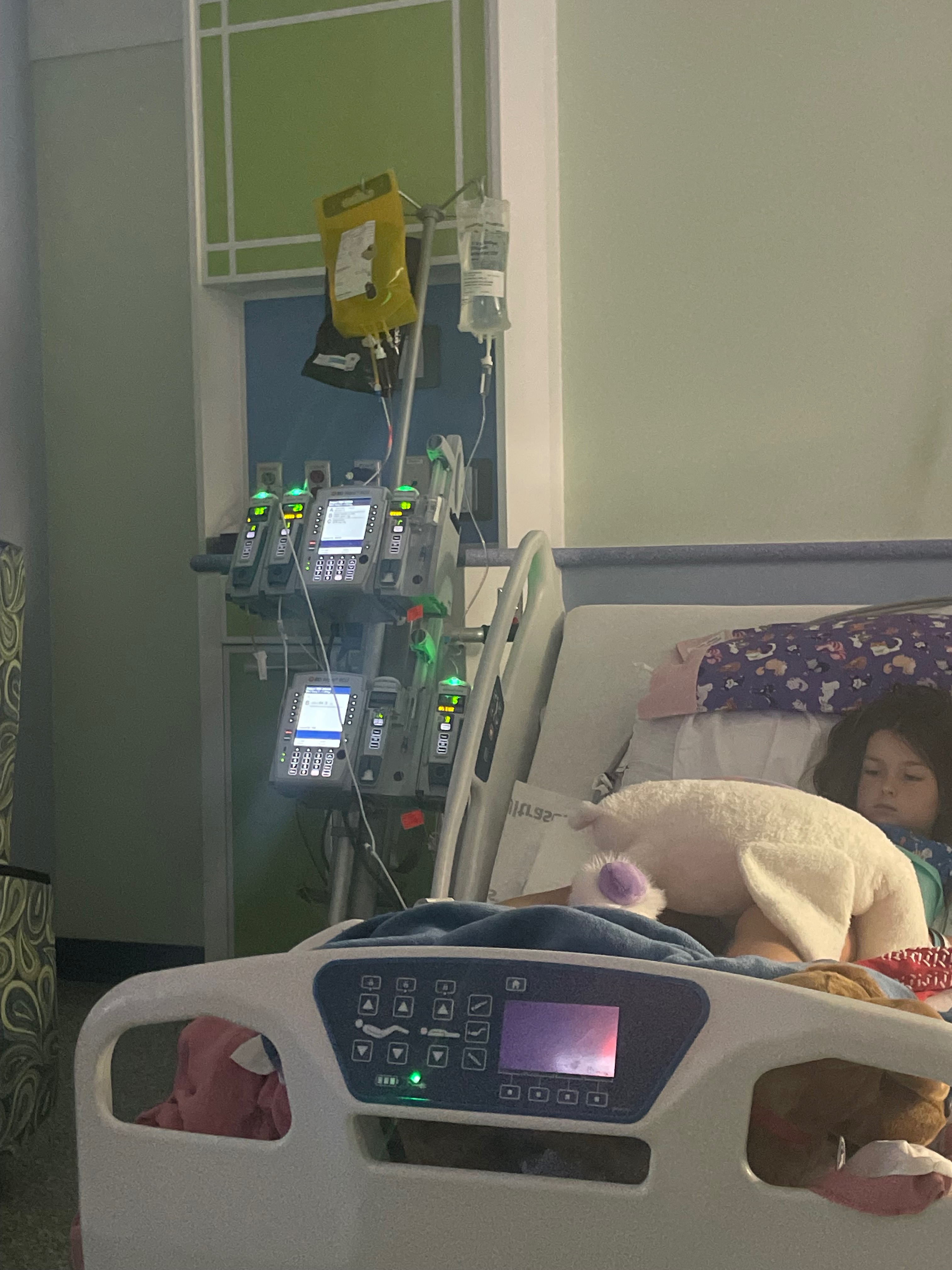 Help Support Sicily and Her Family Through Recovery campaign photo, 2 of 8