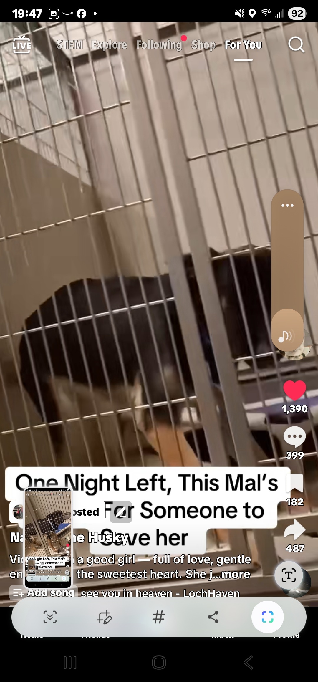 User-uploaded image 1