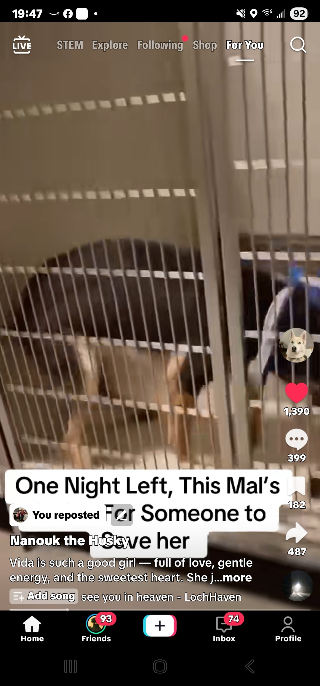 User-uploaded image 2