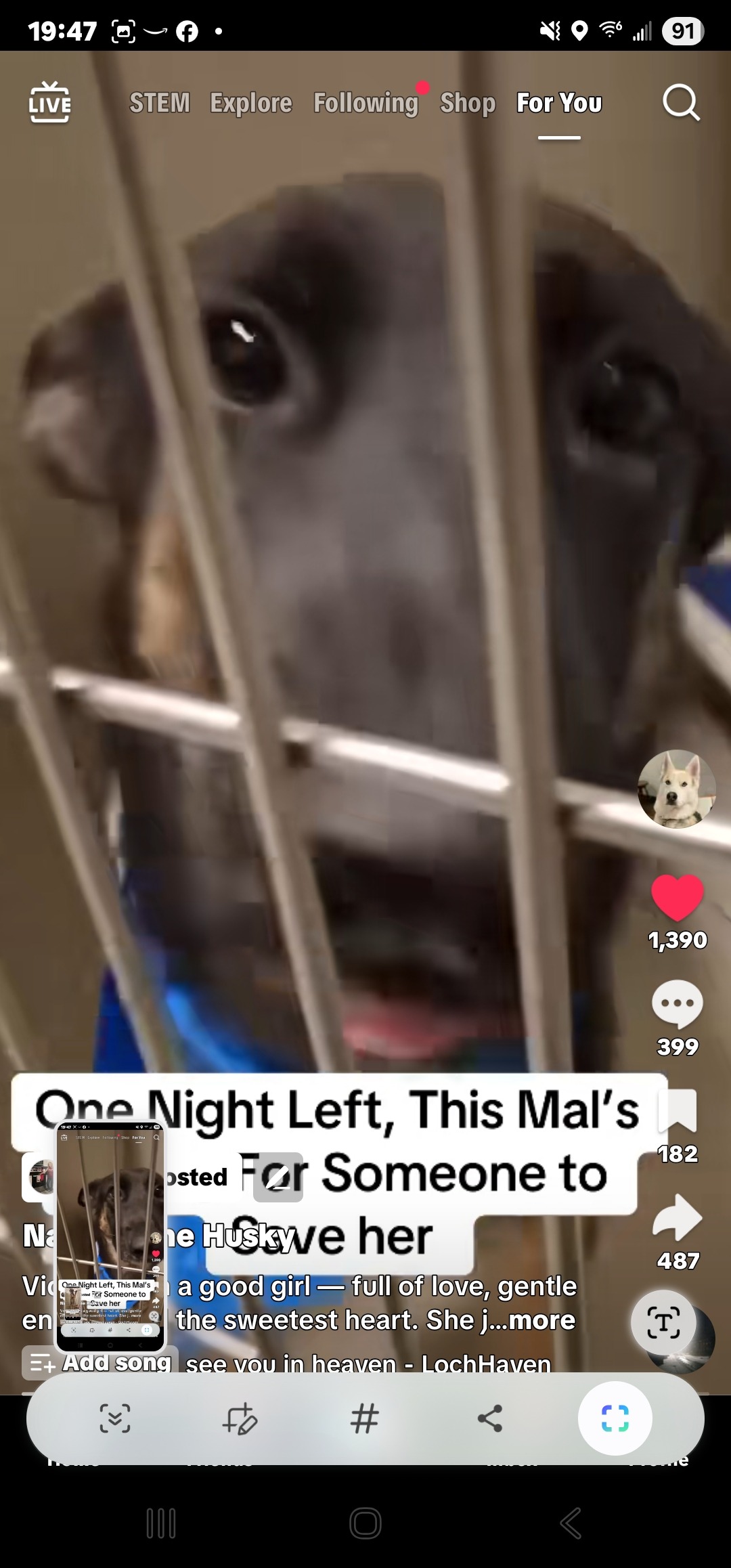 User-uploaded image 3