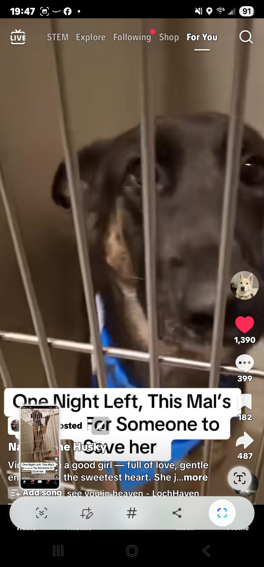 User-uploaded image 4