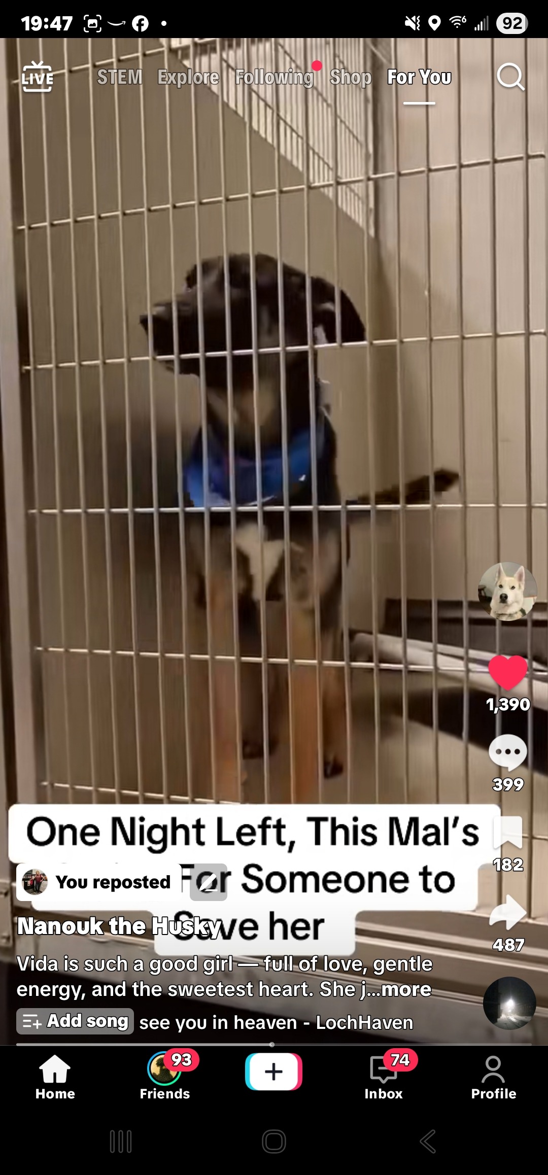 User-uploaded image 5