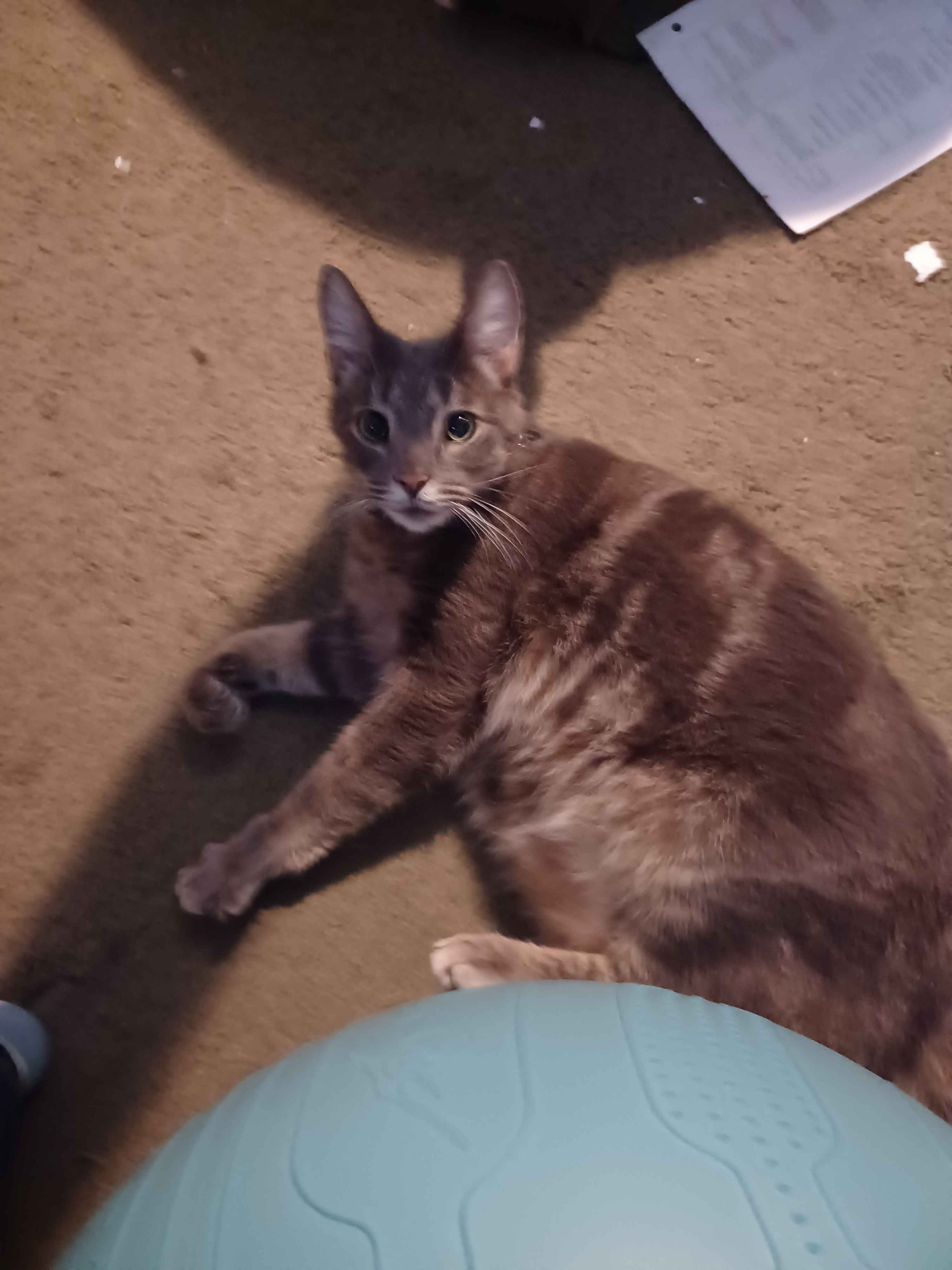Help Hunter Get the Medical Care He Needs campaign photo, 2 of 5