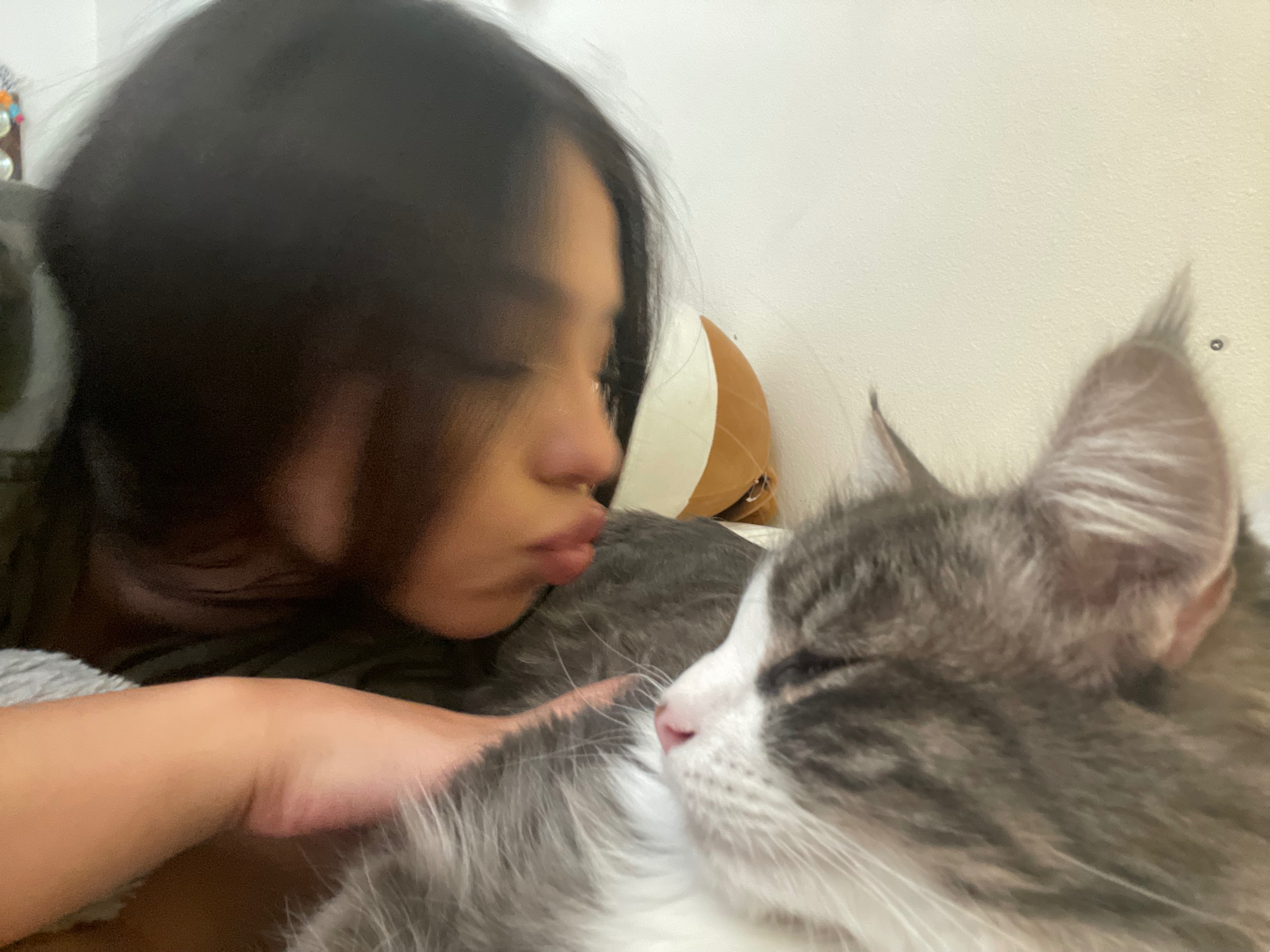 Help Me Reach My Goal to Save Morty’s Life campaign photo, 4 of 7