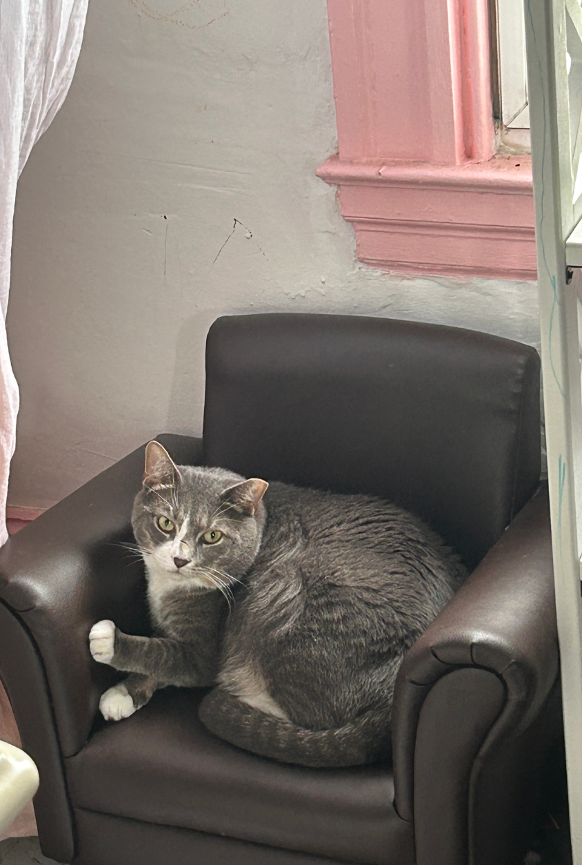 Help Sea Smoke Get Urgent Medical Care Save a Family Member campaign photo, 2 of 7