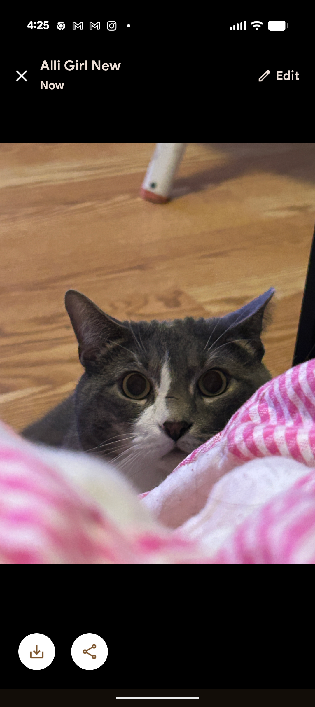 Help Sea Smoke Get Urgent Medical Care Save a Family Member campaign photo, 5 of 7