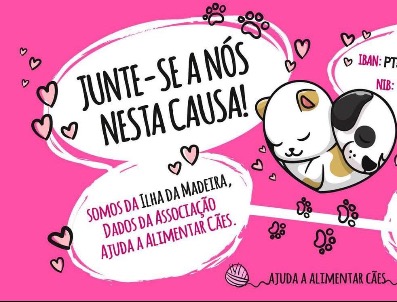 Ajuda a Alimentar Caes campaign photo, 4 of 5