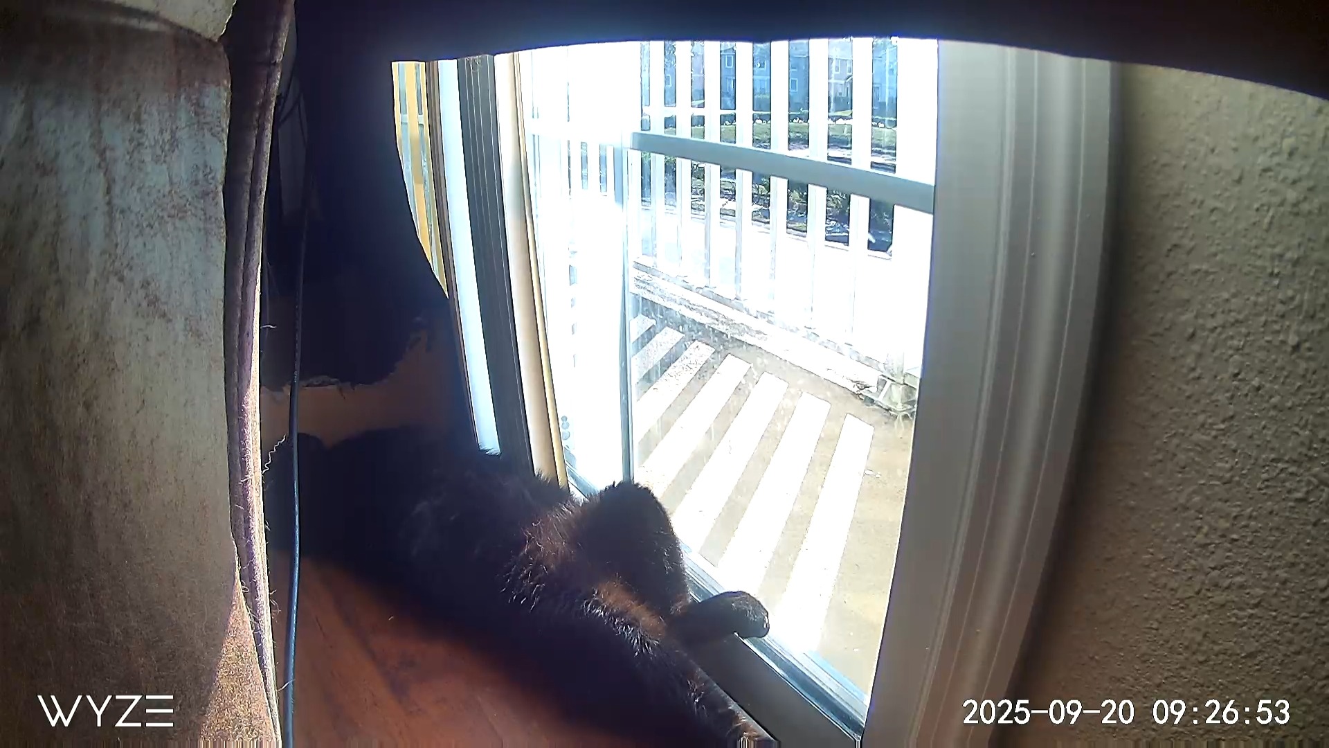 User-uploaded image 1