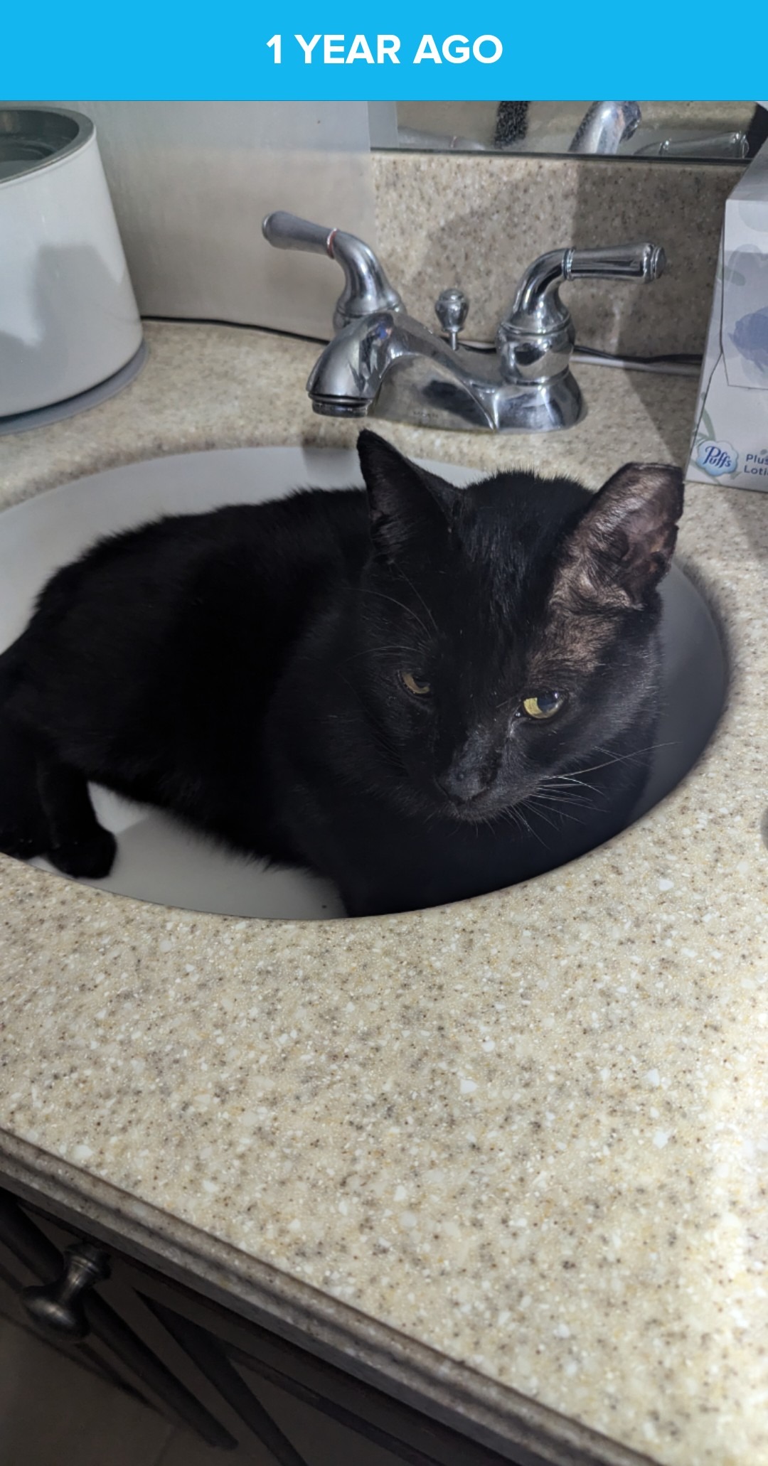 User-uploaded image 3