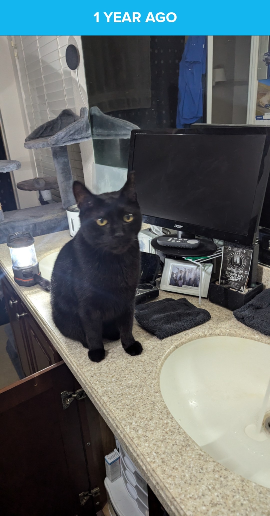 User-uploaded image 2