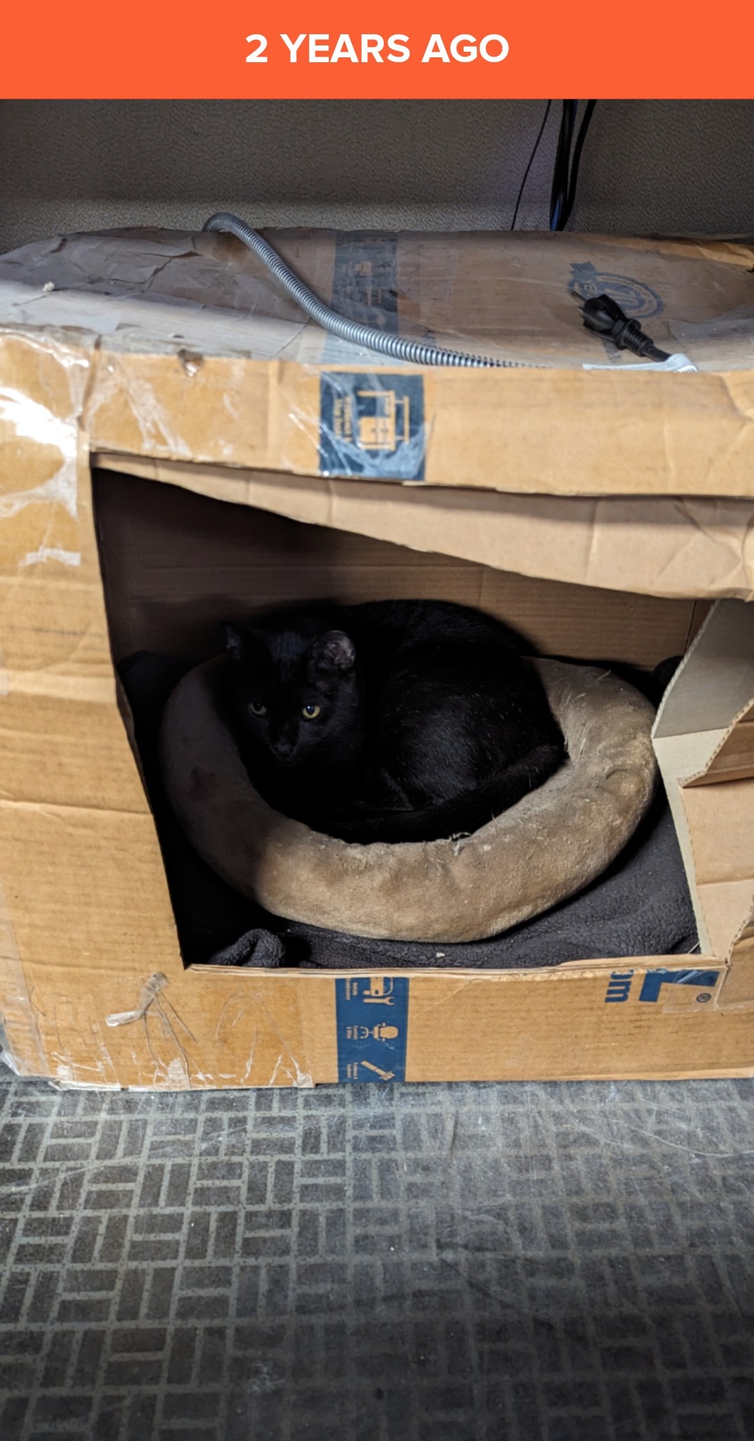 User-uploaded image 4