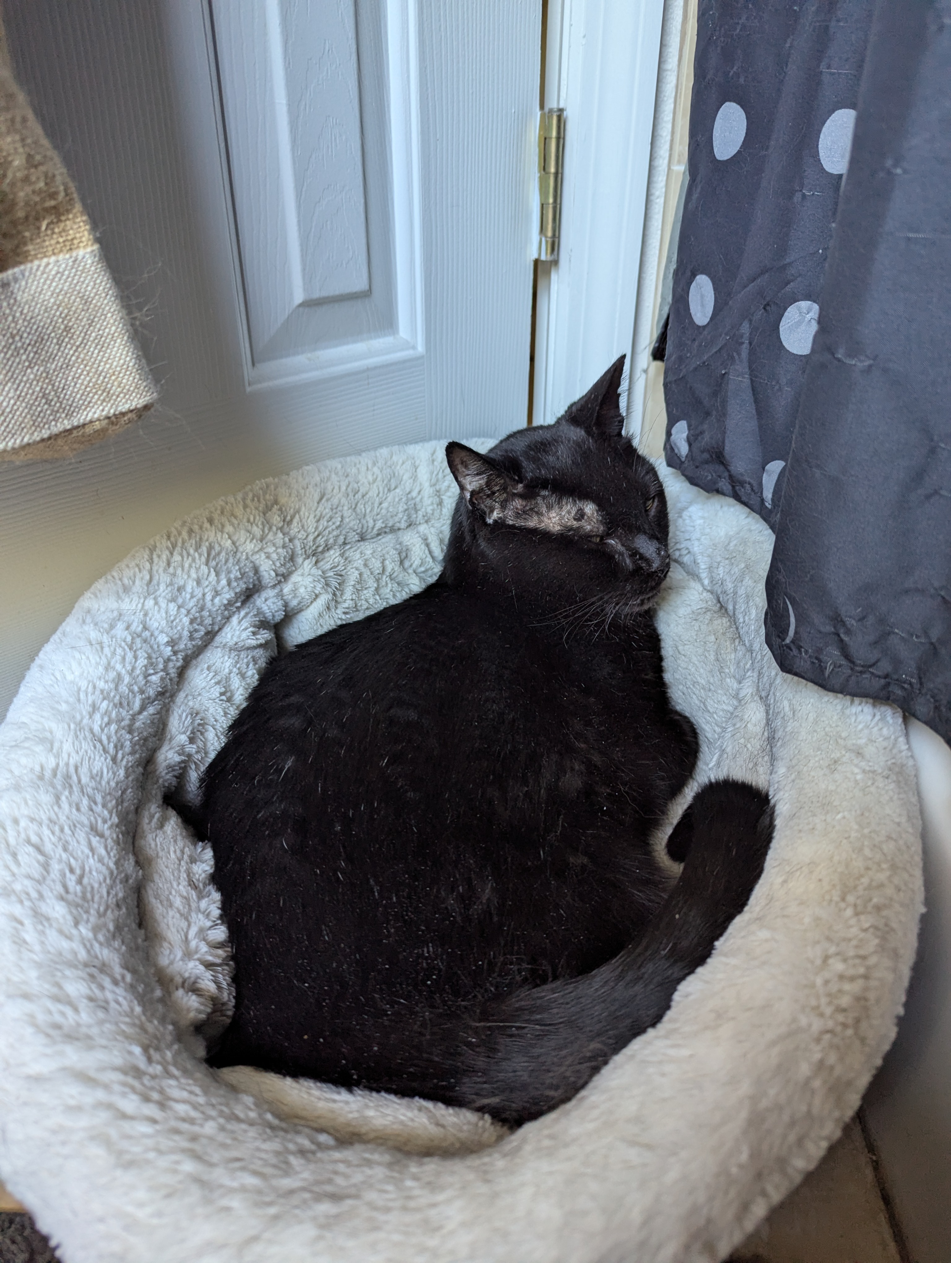 User-uploaded image 5