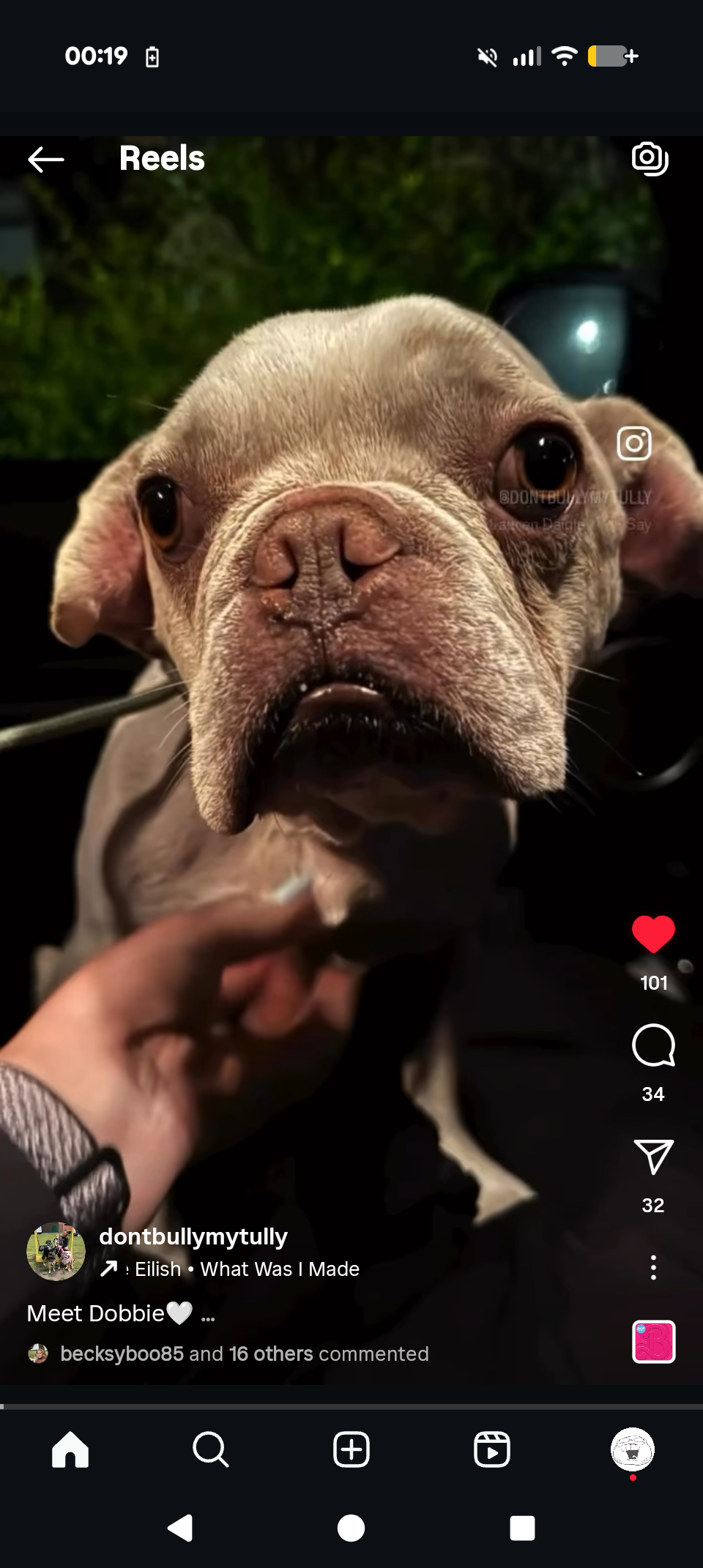 Help Dobbie the rescue with his vet care campaign photo, 5 of 6