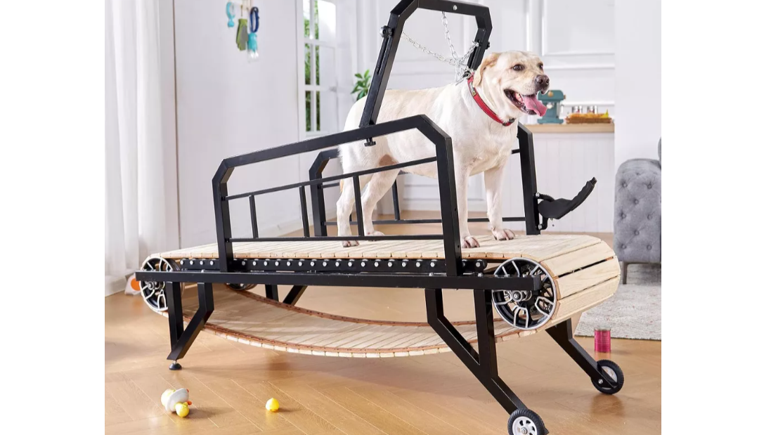 A Holiday Gift of Freedom: A Slatmill for Downhearted Dogs photo